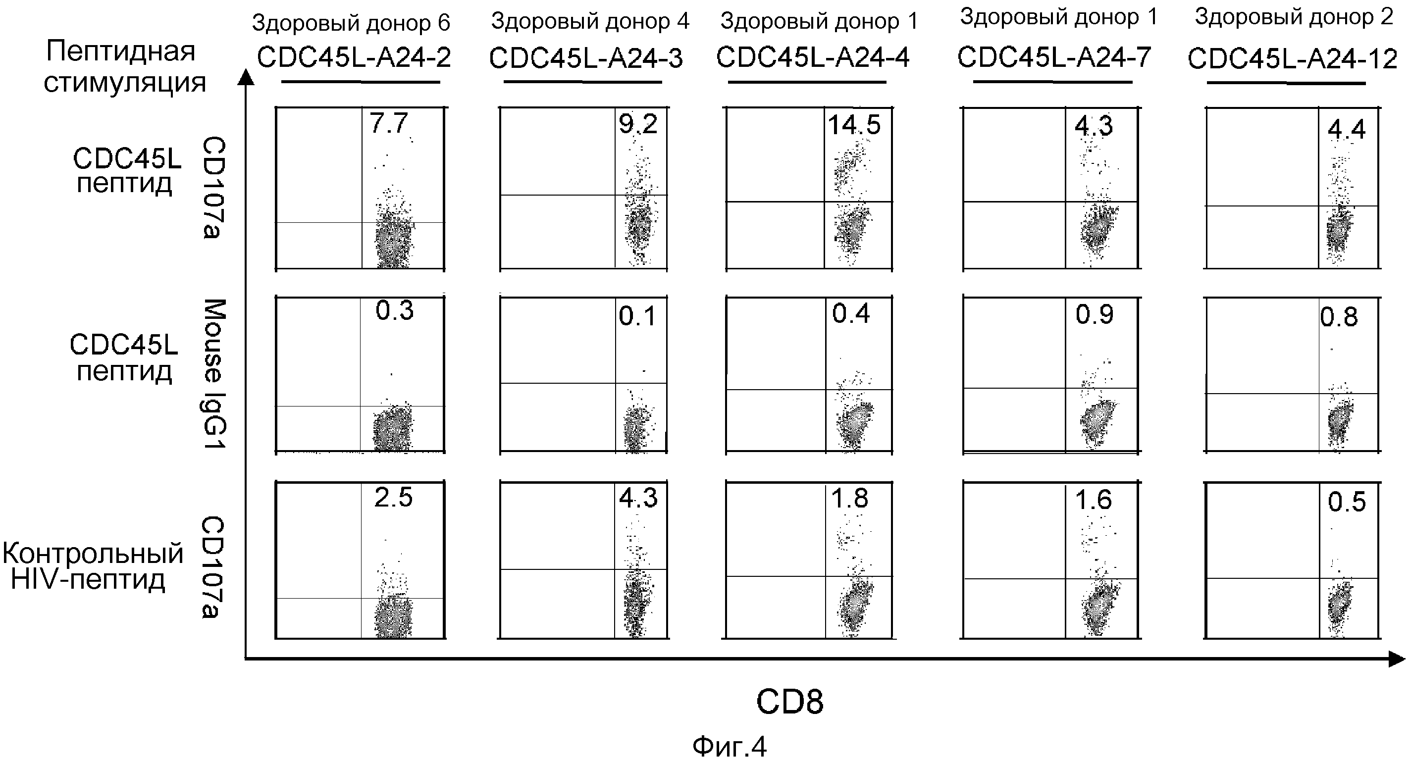 ПЕПТИДЫ CDC45L И ВАКЦИНЫ, ВКЛЮЧАЮЩИЕ ТАКОВЫЕ