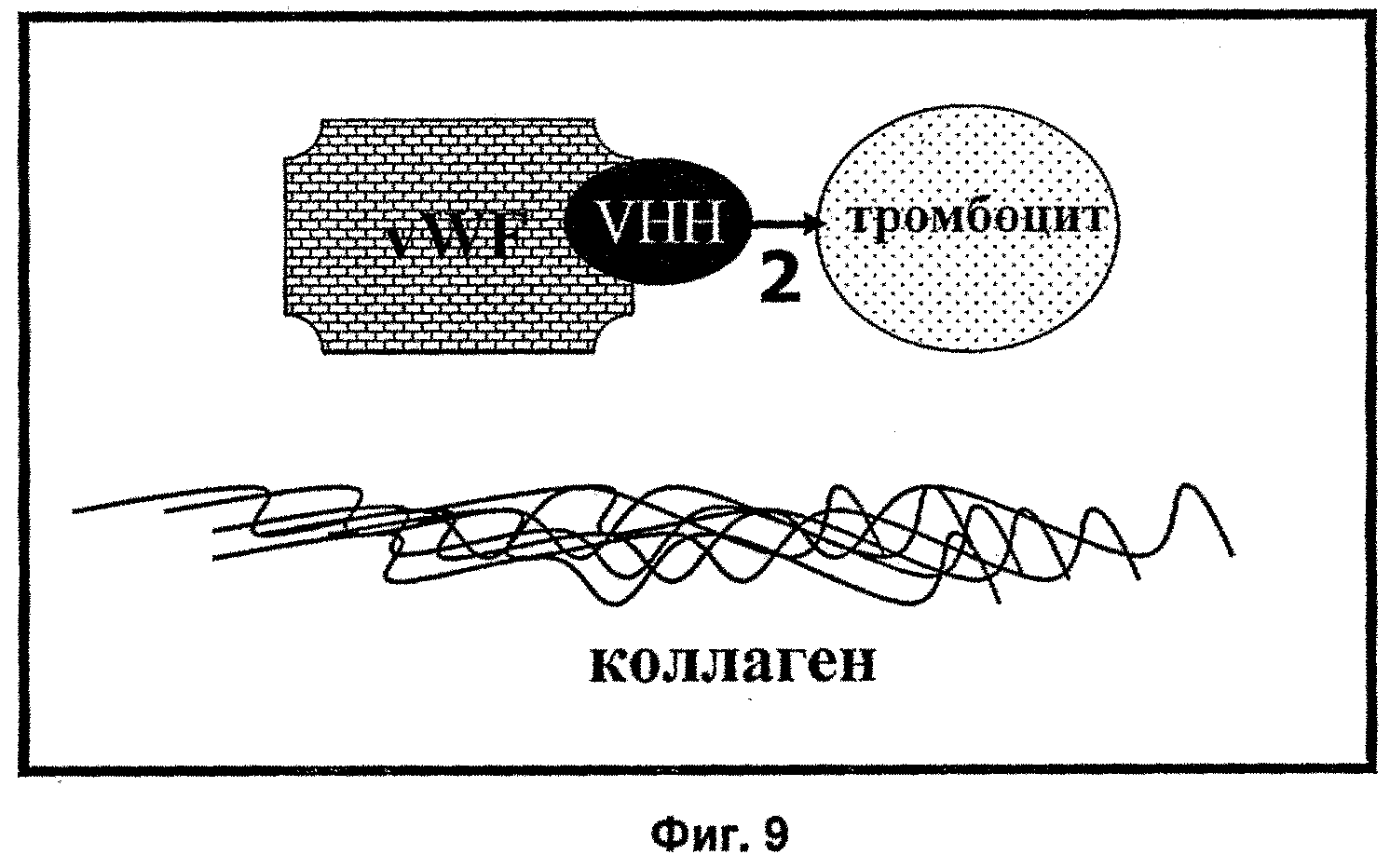 ТЕРАПЕВТИЧЕСКИЕ ПОЛИПЕПТИДЫ, ИХ ГОМОЛОГИ, ИХ ФРАГМЕНТЫ И ИХ ПРИМЕНЕНИЕ ДЛЯ МОДУЛЯЦИИ АГРЕГАЦИИ, ОПОСРЕДОВАННОЙ ТРОМБОЦИТАМИ