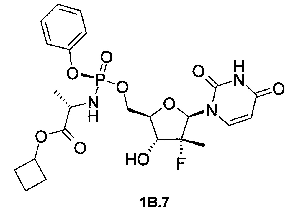 Нуклеотиды, включающие N-[(S)-1-циклобутоксикарбонил]фосфорамидатный фрагмент, их аналоги и их применение