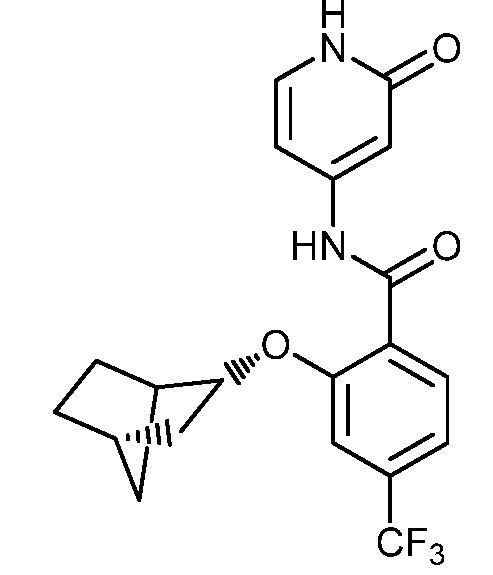 Дигидропиридина. Дигидропиридины