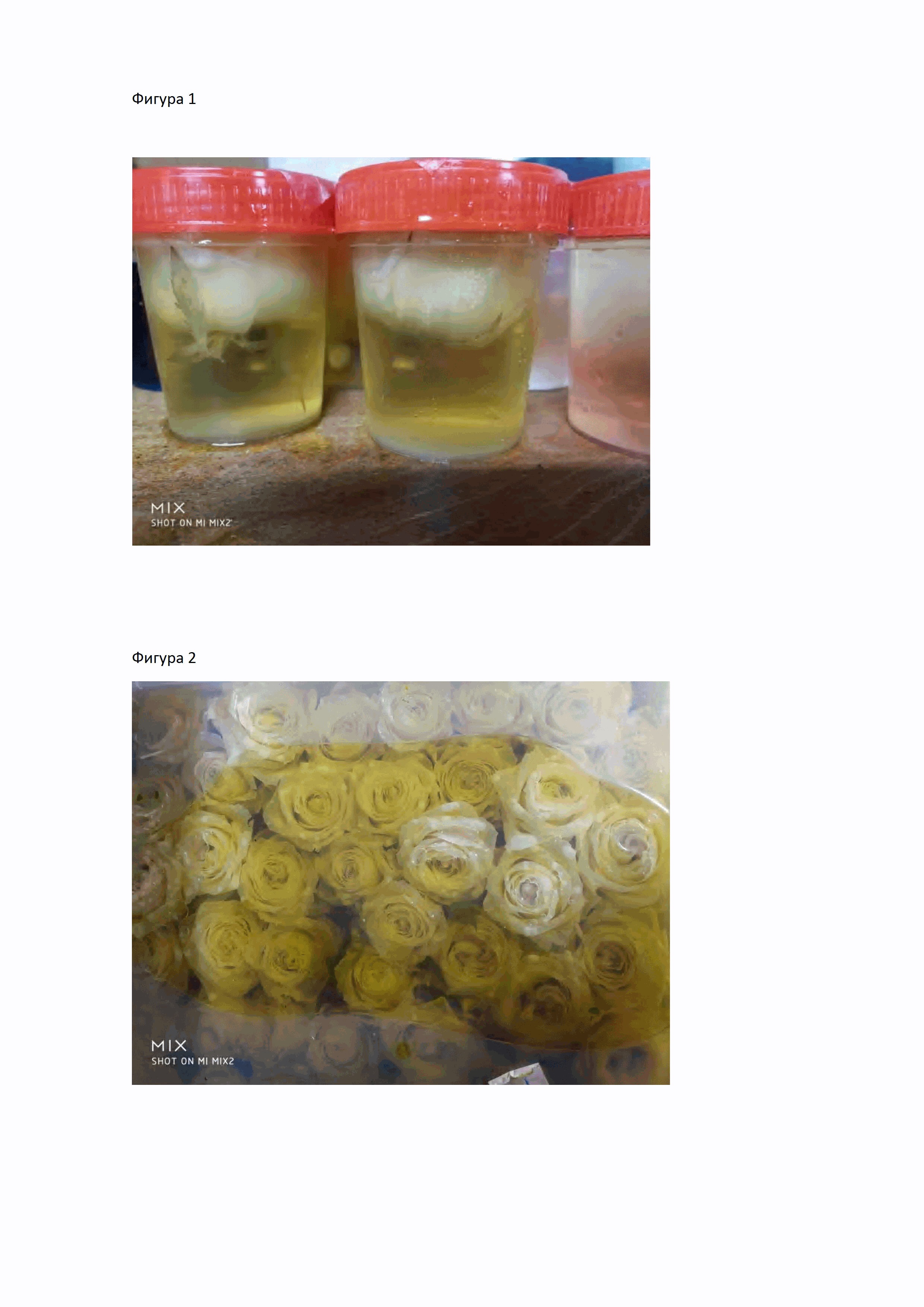Метод консервации и/или окрашивания растительного материала, включая срезанные цветы