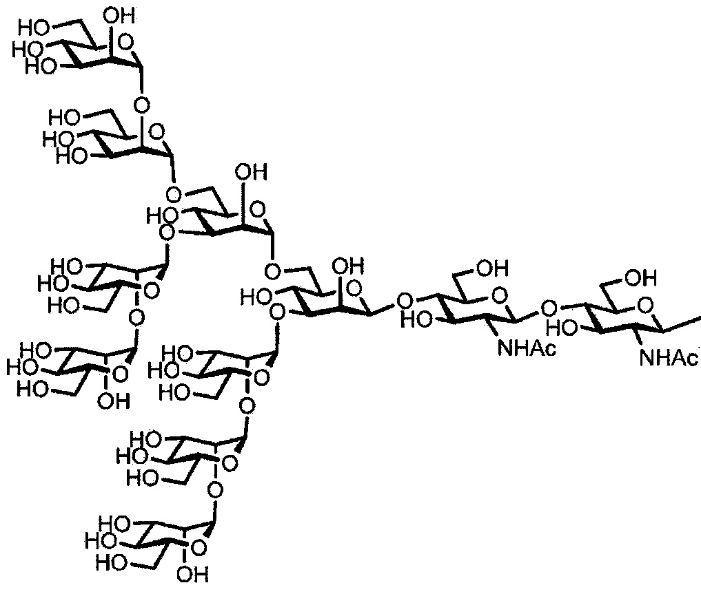 Полипептид рисунок. Примеры сахарной цепи.