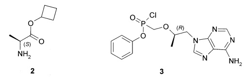 Циклобутил (S)-2-[[[(R)-2-(6-аминопурин-9-ил)-1-метил-этокси]метил-фенокси-фосфорил]амино]-пропаноаты, способ их получения и применения