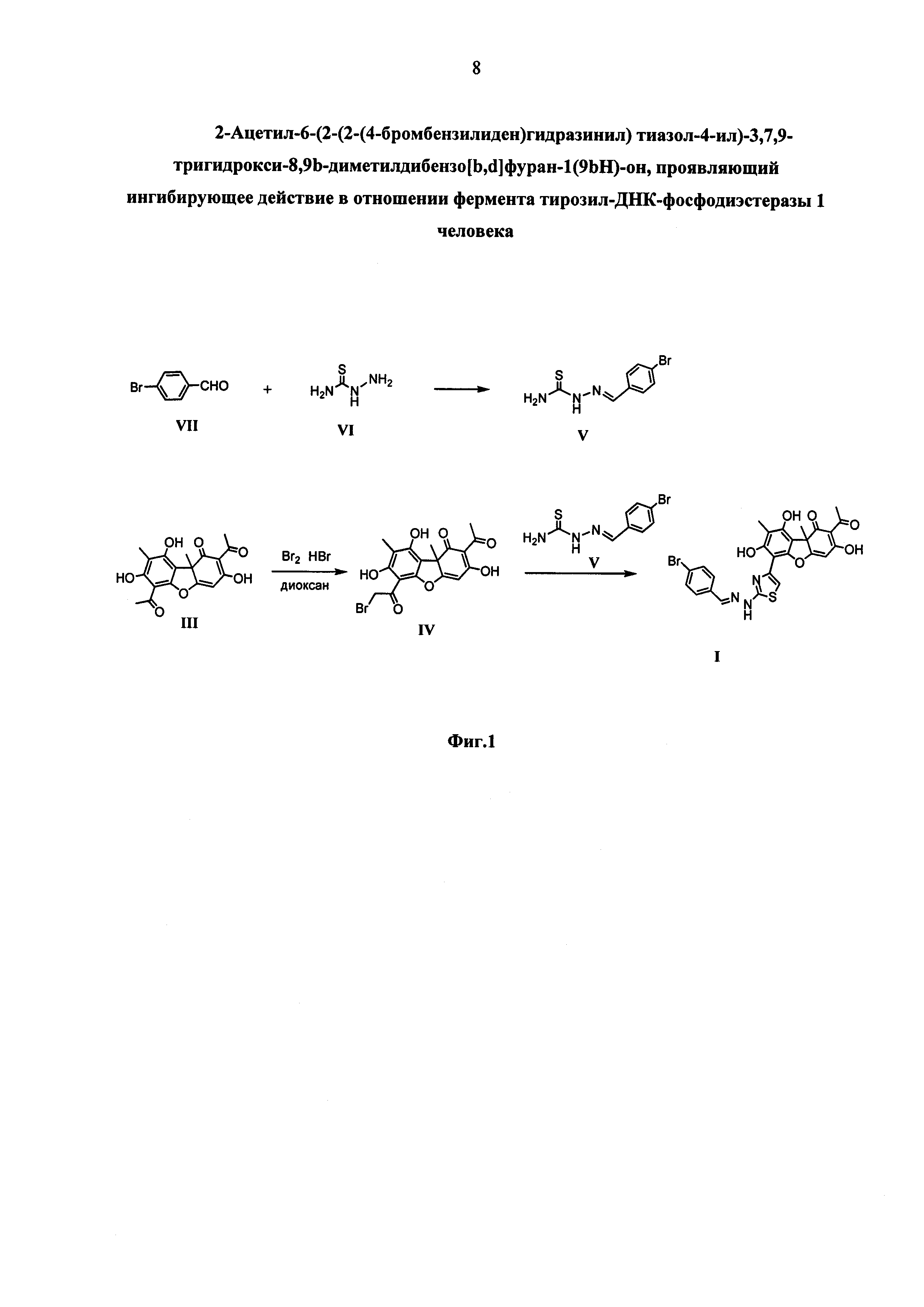2-Ацетил-6-(2-(2-(4-бромбензилиден)гидразинил) тиазол-4-ил)-3, 7, 9-тригидрокси-8, 9b-диметилдибензо[b, d]фуран-1(9bH)-он, проявляющий ингибирующее действие в отношении фермента тирозил-ДНК-фосфодиэстеразы 1 человека