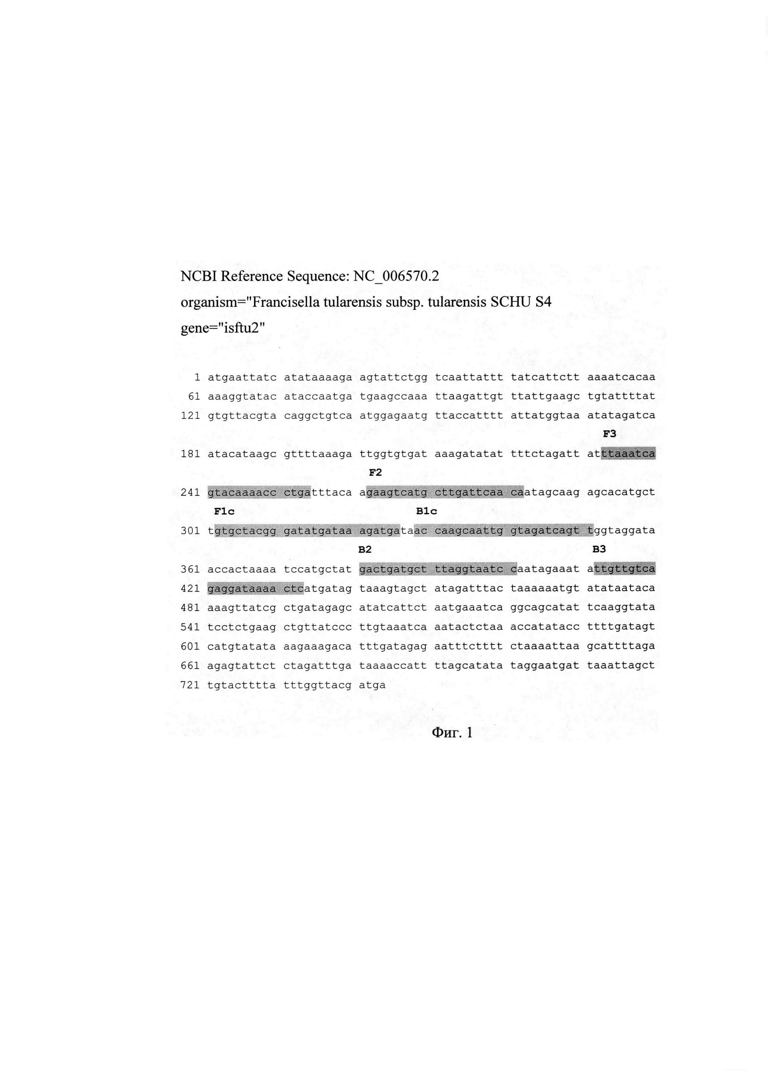Набор олигонуклеотидных праймеров Ft 40 и способ определения бактерий Francisella tularensis (Варианты)