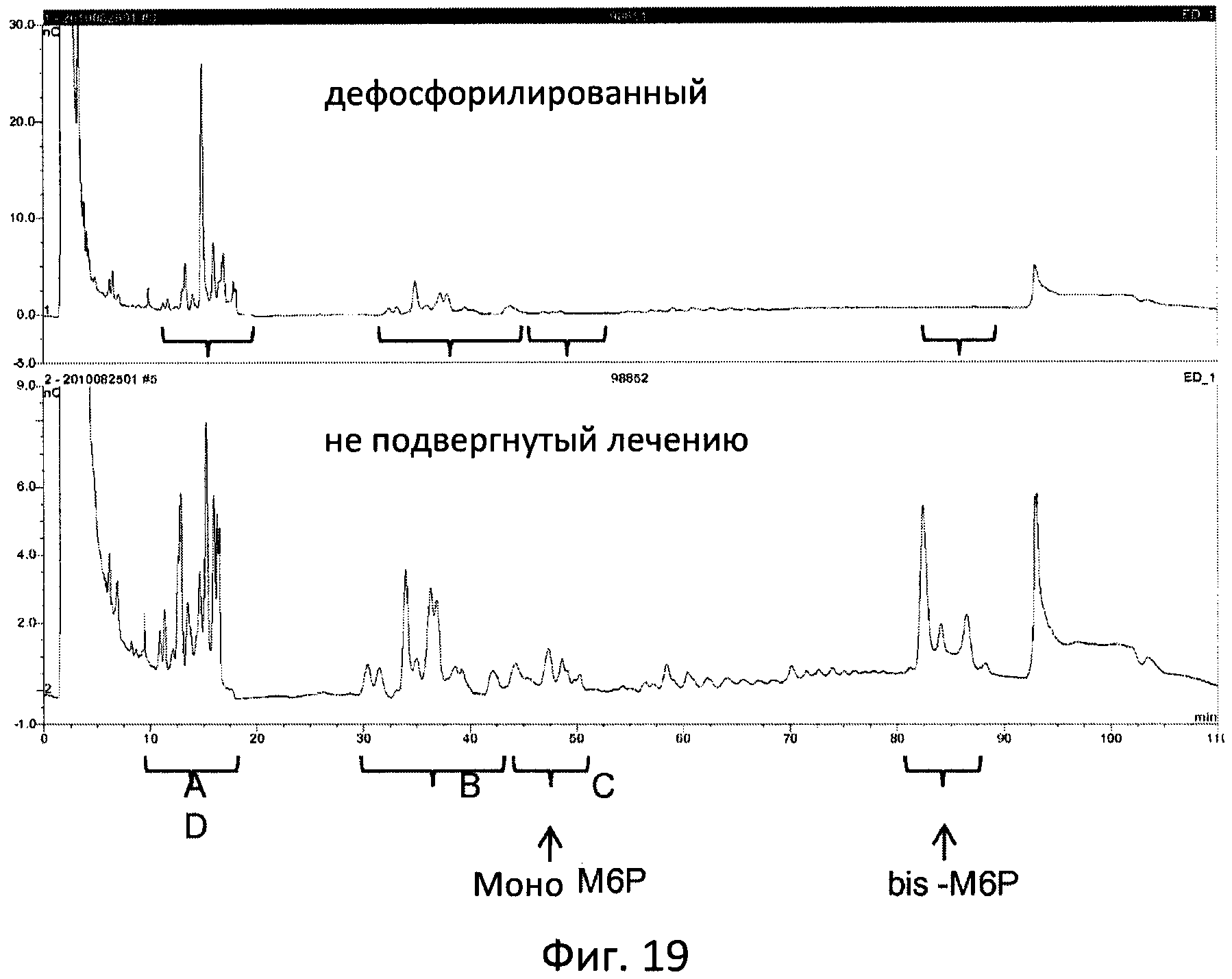 ФЕРМЕНТ ЛИЗОСОМАЛЬНОЙ БОЛЕЗНИ НАКОПЛЕНИЯ