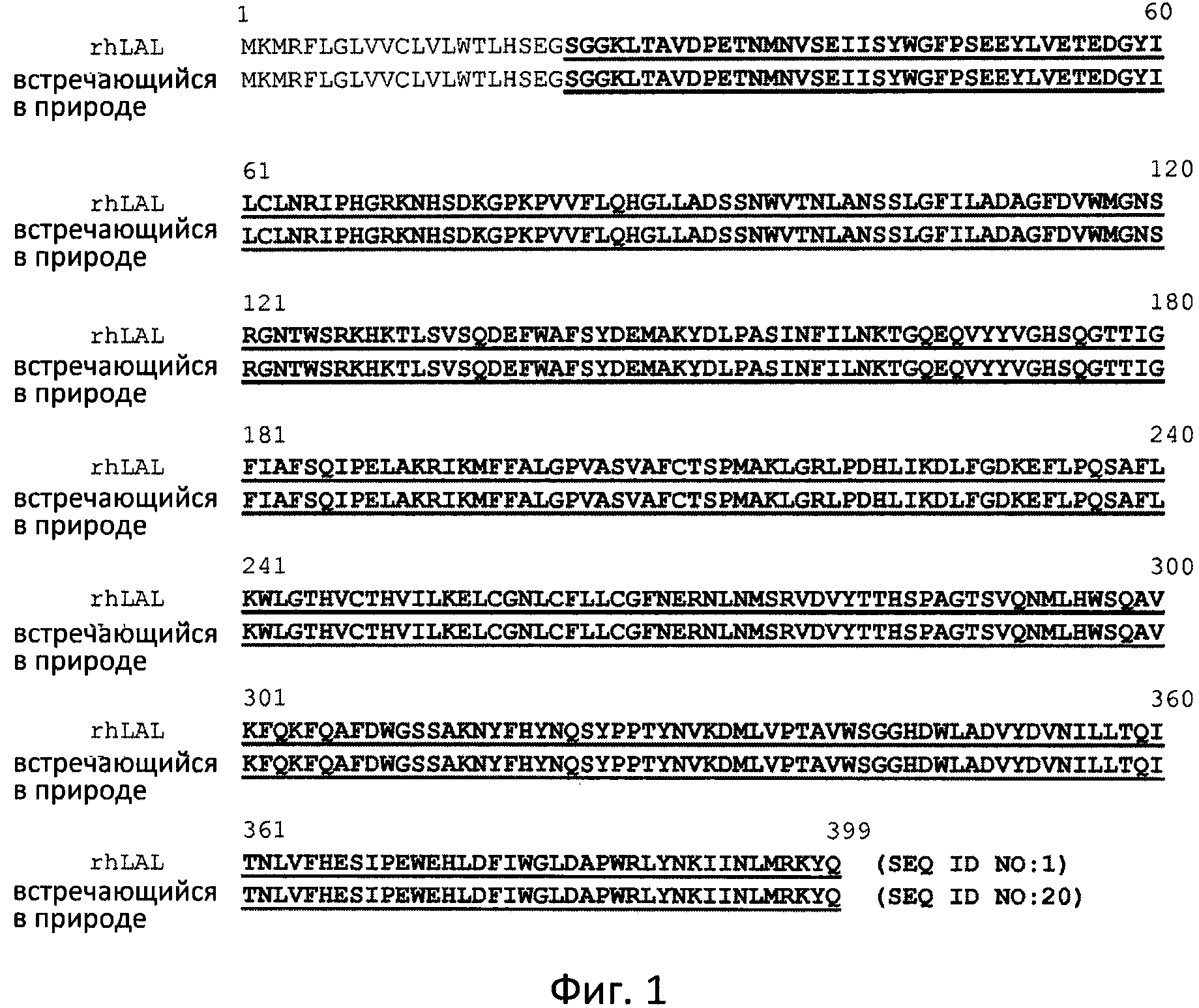 ФЕРМЕНТ ЛИЗОСОМАЛЬНОЙ БОЛЕЗНИ НАКОПЛЕНИЯ