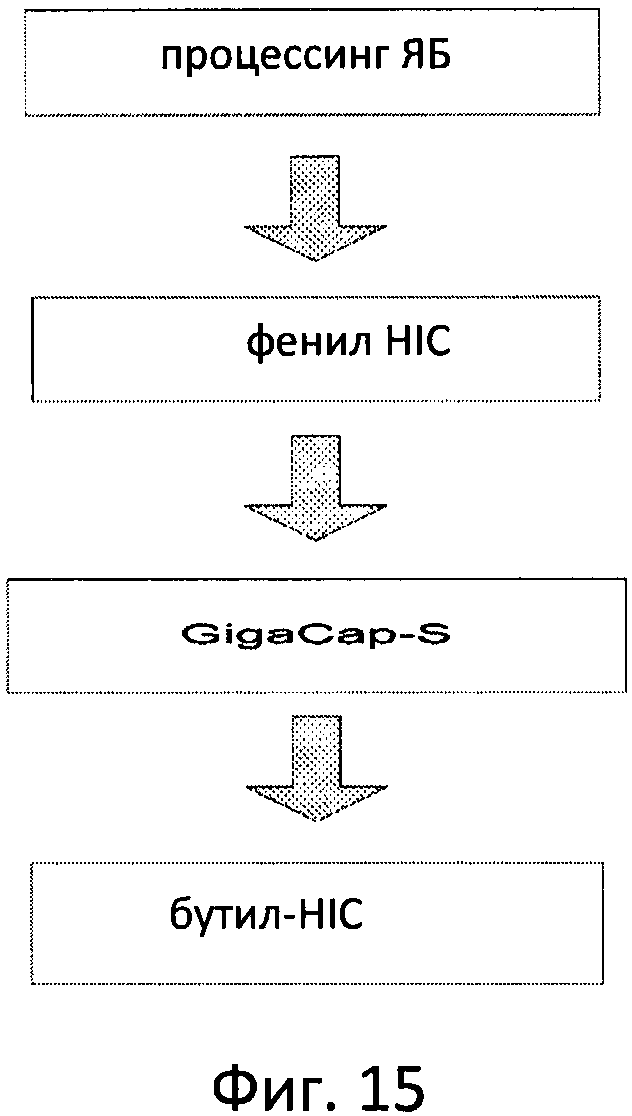 ФЕРМЕНТ ЛИЗОСОМАЛЬНОЙ БОЛЕЗНИ НАКОПЛЕНИЯ