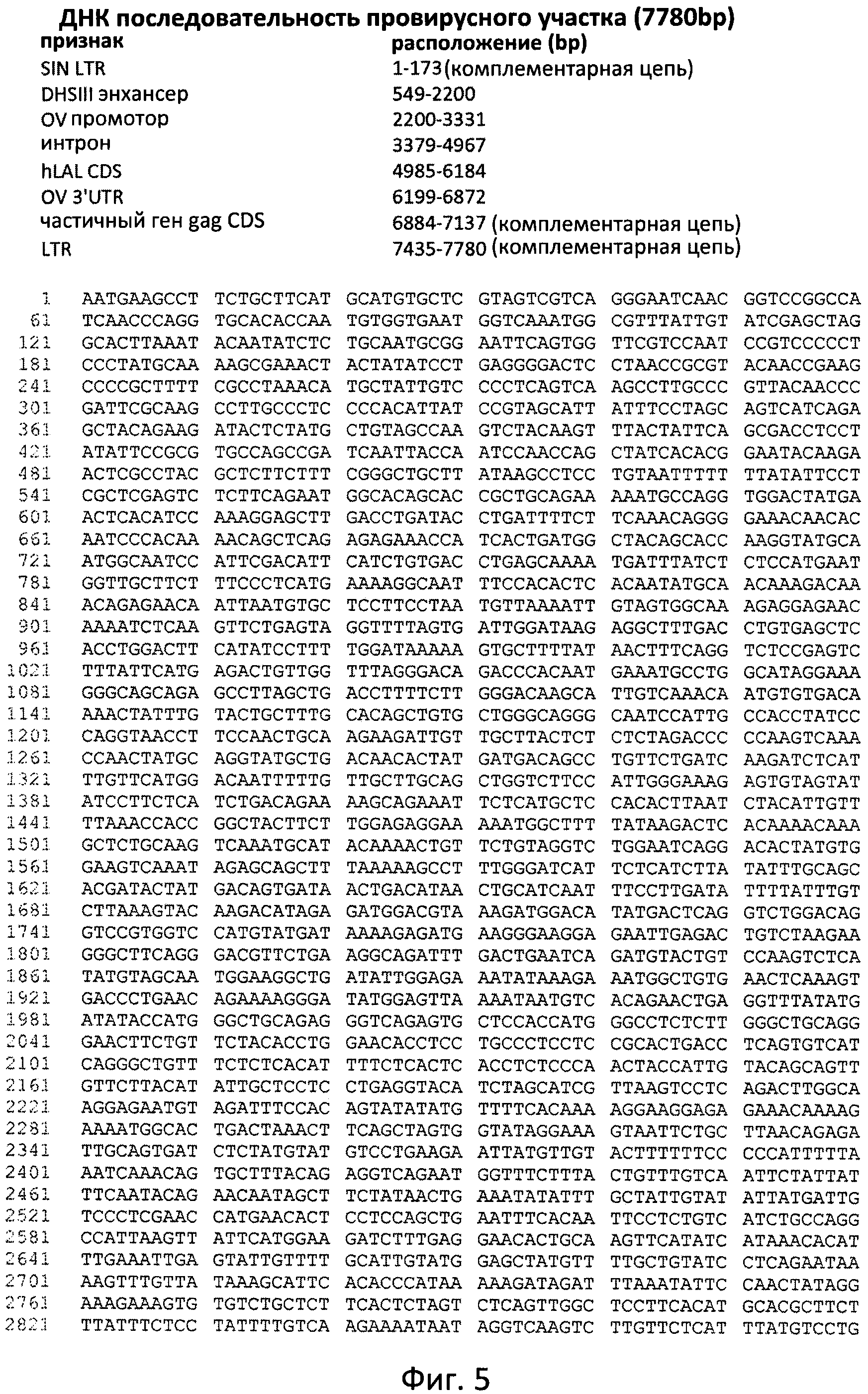 ФЕРМЕНТ ЛИЗОСОМАЛЬНОЙ БОЛЕЗНИ НАКОПЛЕНИЯ