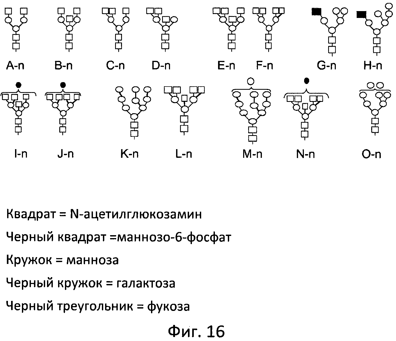 ФЕРМЕНТ ЛИЗОСОМАЛЬНОЙ БОЛЕЗНИ НАКОПЛЕНИЯ