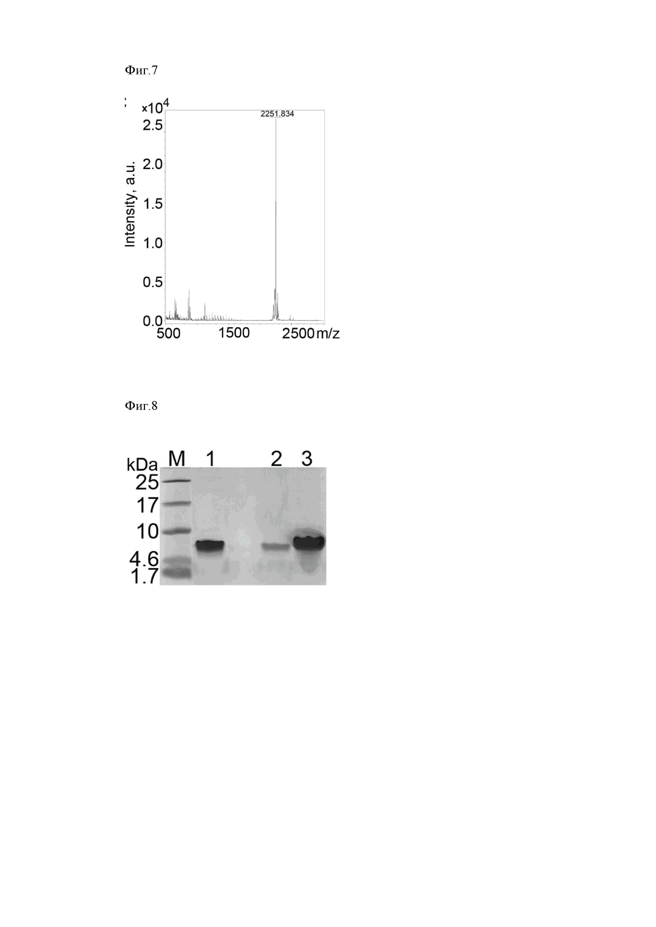 Способ получения рекомбинантного антимикробного пептида UBI18-35, рекомбинантная плазмидная ДНК pET31b-2хUBI18-35 и штамм-продуцент Escherichia coli BL21 Rosetta DE3 pLysS/ pET31b-2хUBI18-35 антимикробного пептида UBI18-35