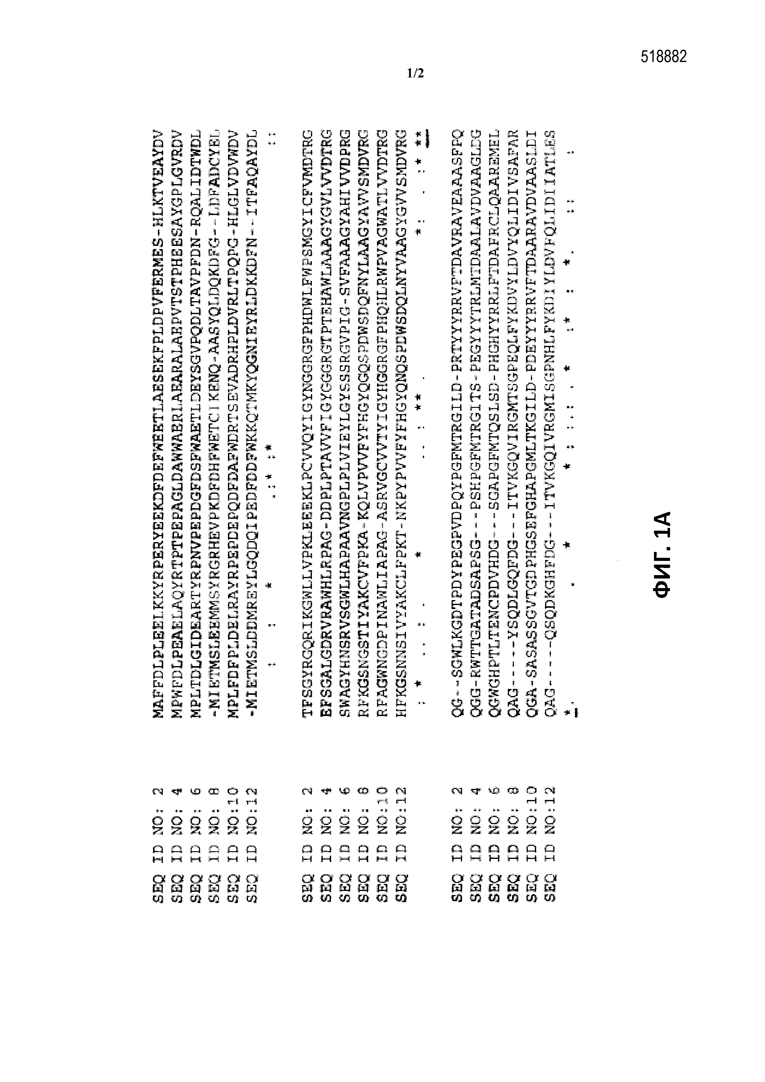 ФЕРМЕНТЫ, ПРИГОДНЫЕ ДЛЯ ПОЛУЧЕНИЯ ПЕРКИСЛОТ