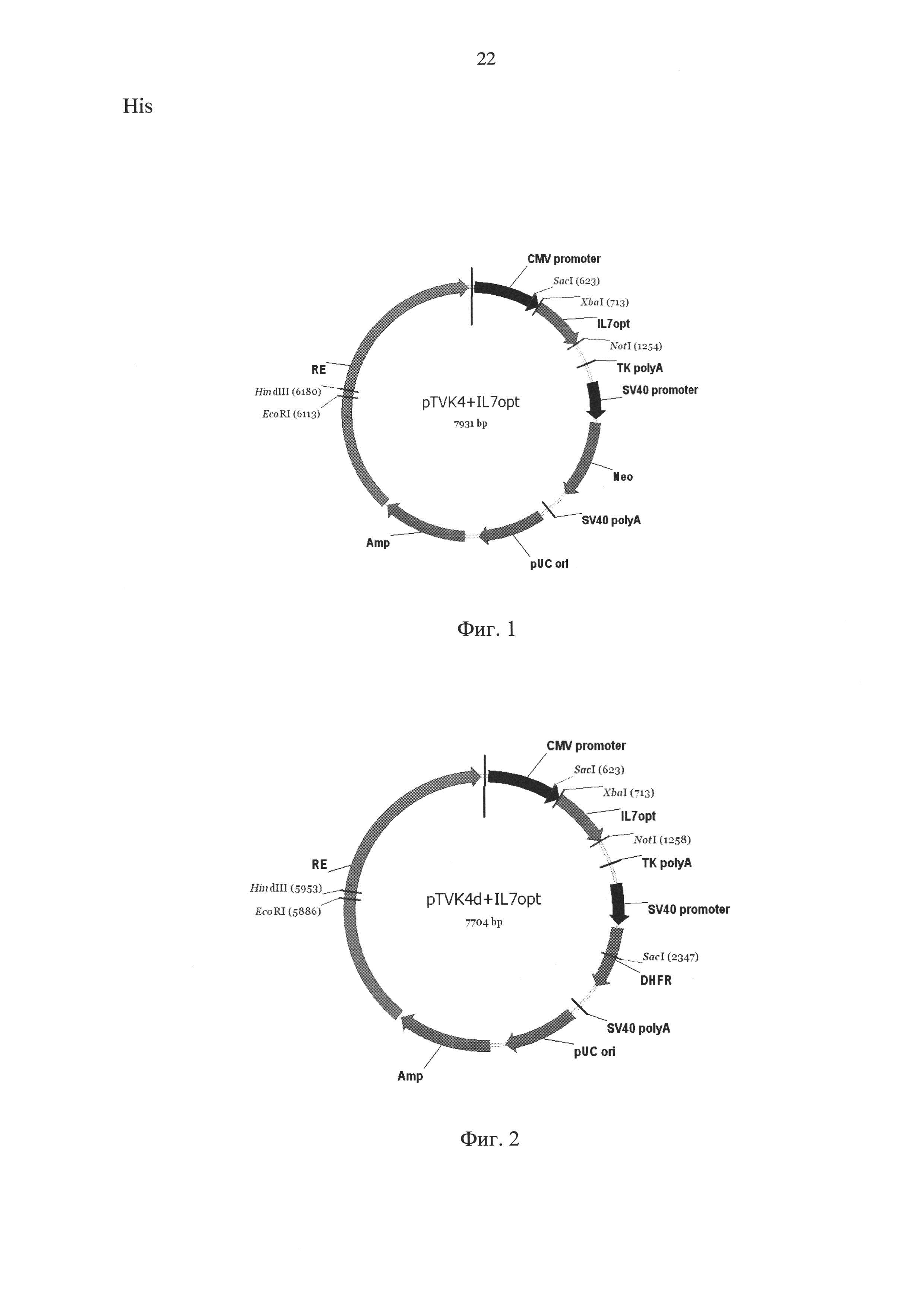 Синтетическая ДНК, кодирующая интерлейкин-7 человека, содержащий ее экспрессионный вектор (варианты), штамм-продуцент интерлейкина-7 человека и способ получения интерлейкина-7 человека