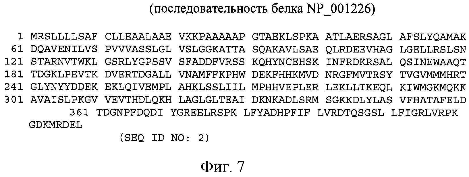 МОДУЛЯЦИЯ ЭКСПРЕССИИ HSP47