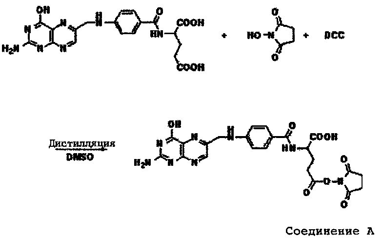 Сигма кислоты. Конъюгаты биохимия. Полимер олигонуклеотида. Фосфотриэфирный метод синтеза олигонуклеотидов. Лекарственные средства на основе олигонуклеотидов.