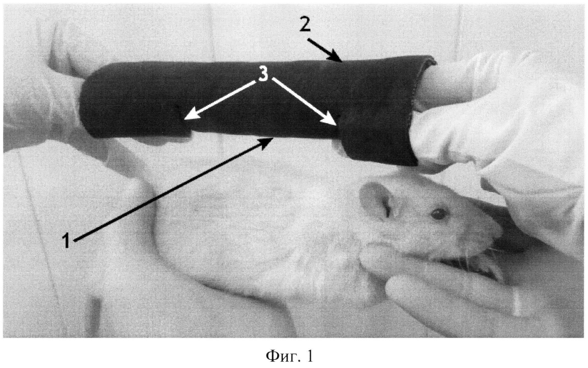 Как усыпить крысу. Фиксация лабораторных животных. Фиксация лабораторных крыс. Фиксация мелких животных Ветеринария.