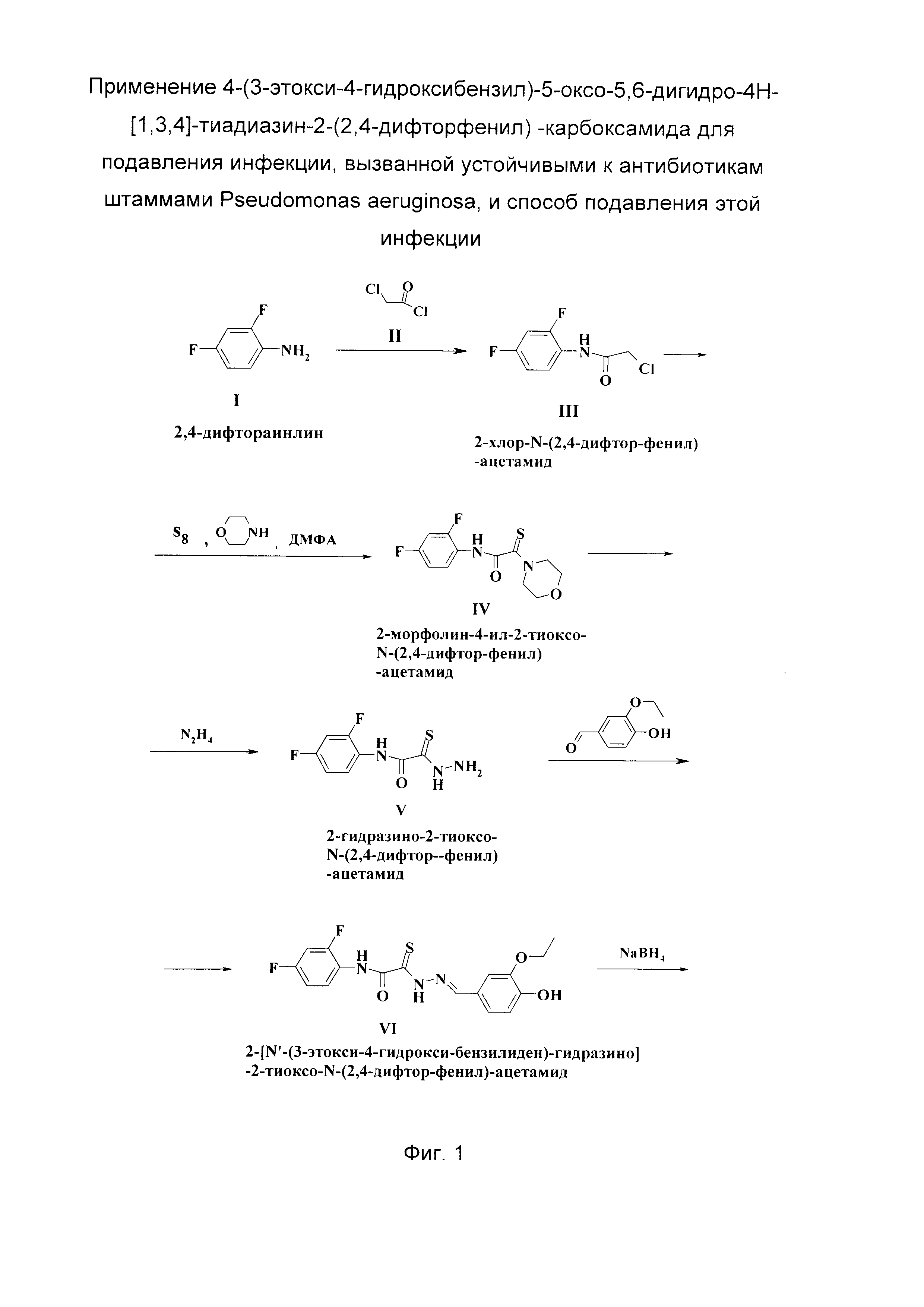 Применение 4-(3-этокси-4-гидроксибензил)-5-оксо-5,6-дигидро-4Н-[1,3,4]-тиадиазин-2-(2,4-дифторфенил)-карбоксамида для подавления инфекции, вызванной устойчивыми к антибиотикам штаммами Pseudomonas aeruginosa, и способ подавления этой инфекции
