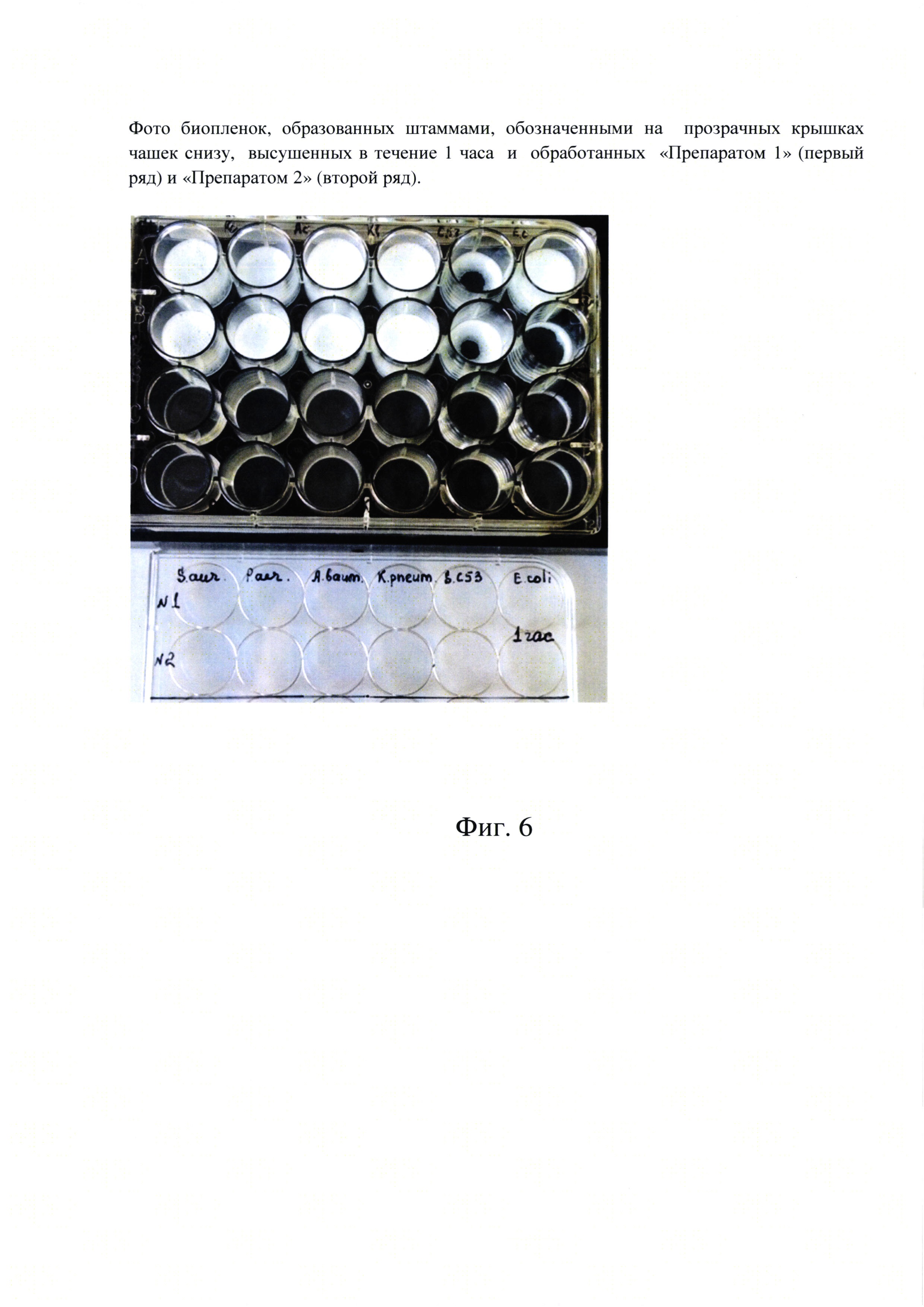 Экспресс-тест для обнаружения биологических плёнок бактерий на абиотических поверхностях (варианты)