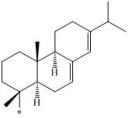 Сульфанильные и ацетилсульфанильные производные абиетанового типа