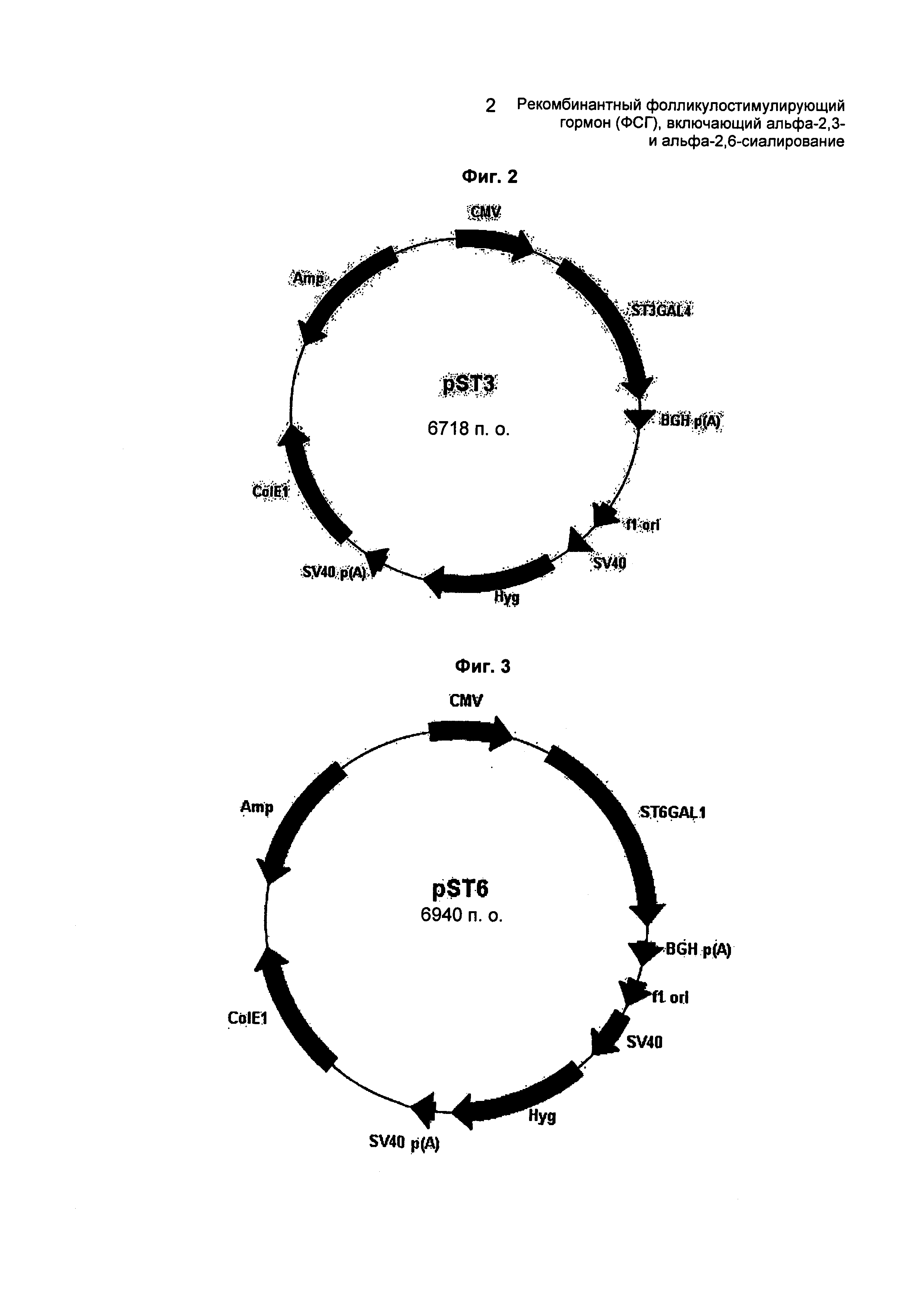 Рекомбинантный фолликулостимулирующий гормон (ФСГ), включающий альфа-2,3- и альфа-2,6-сиалирование