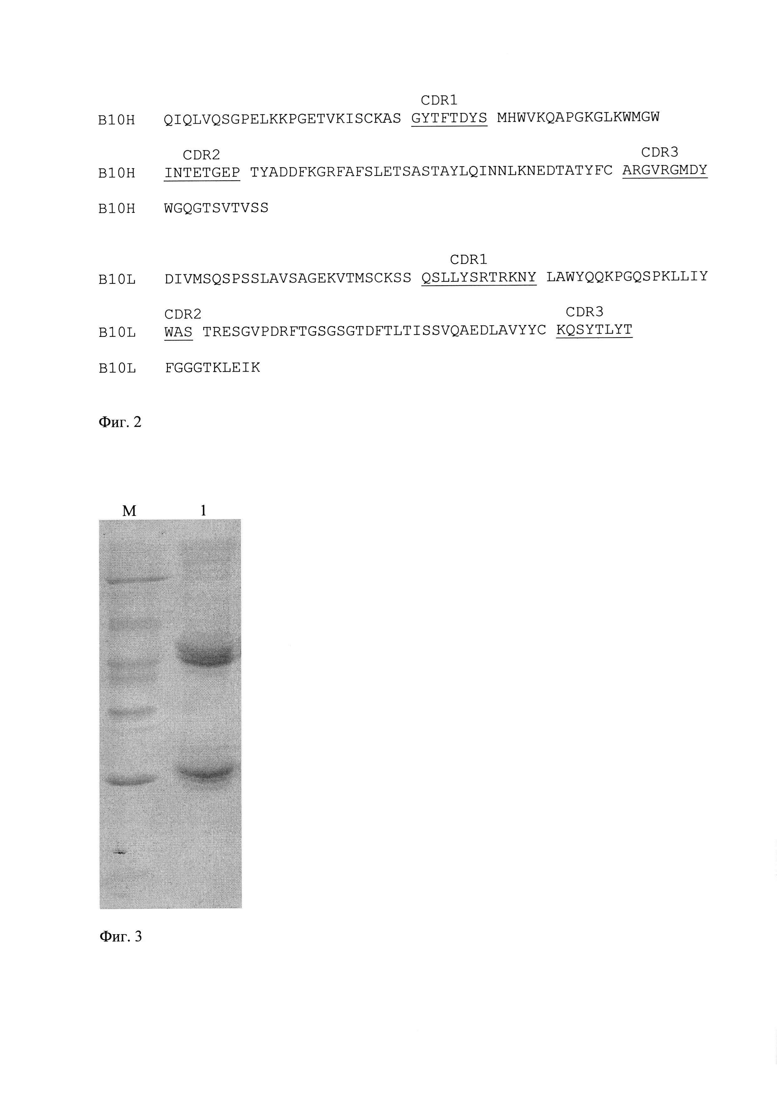 Моноклональное антитело к интерферону бета-1а человека