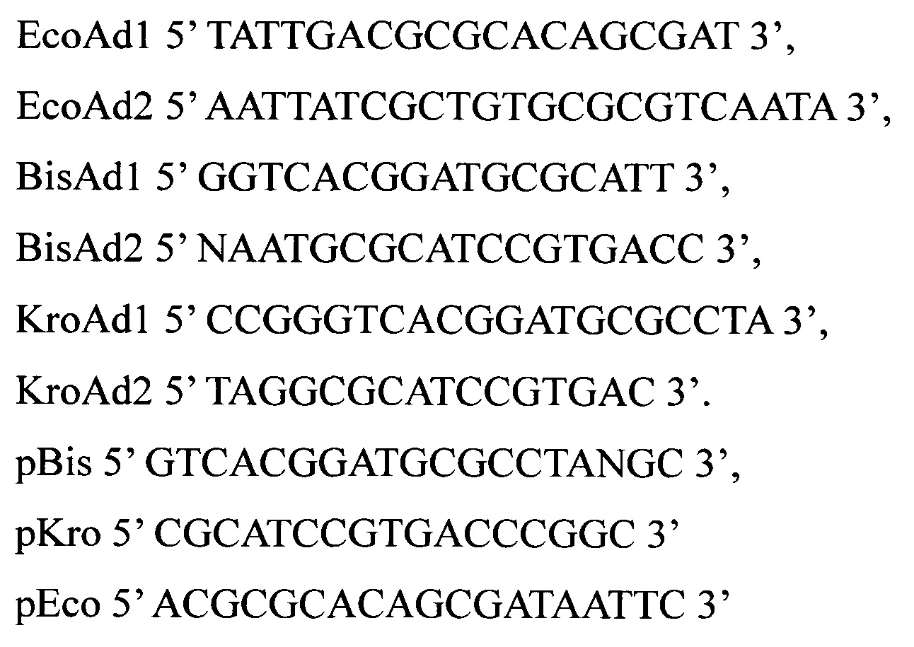 Набор синтетических олигонуклеотидов для проведения метилчувствительной амплификации ДНК