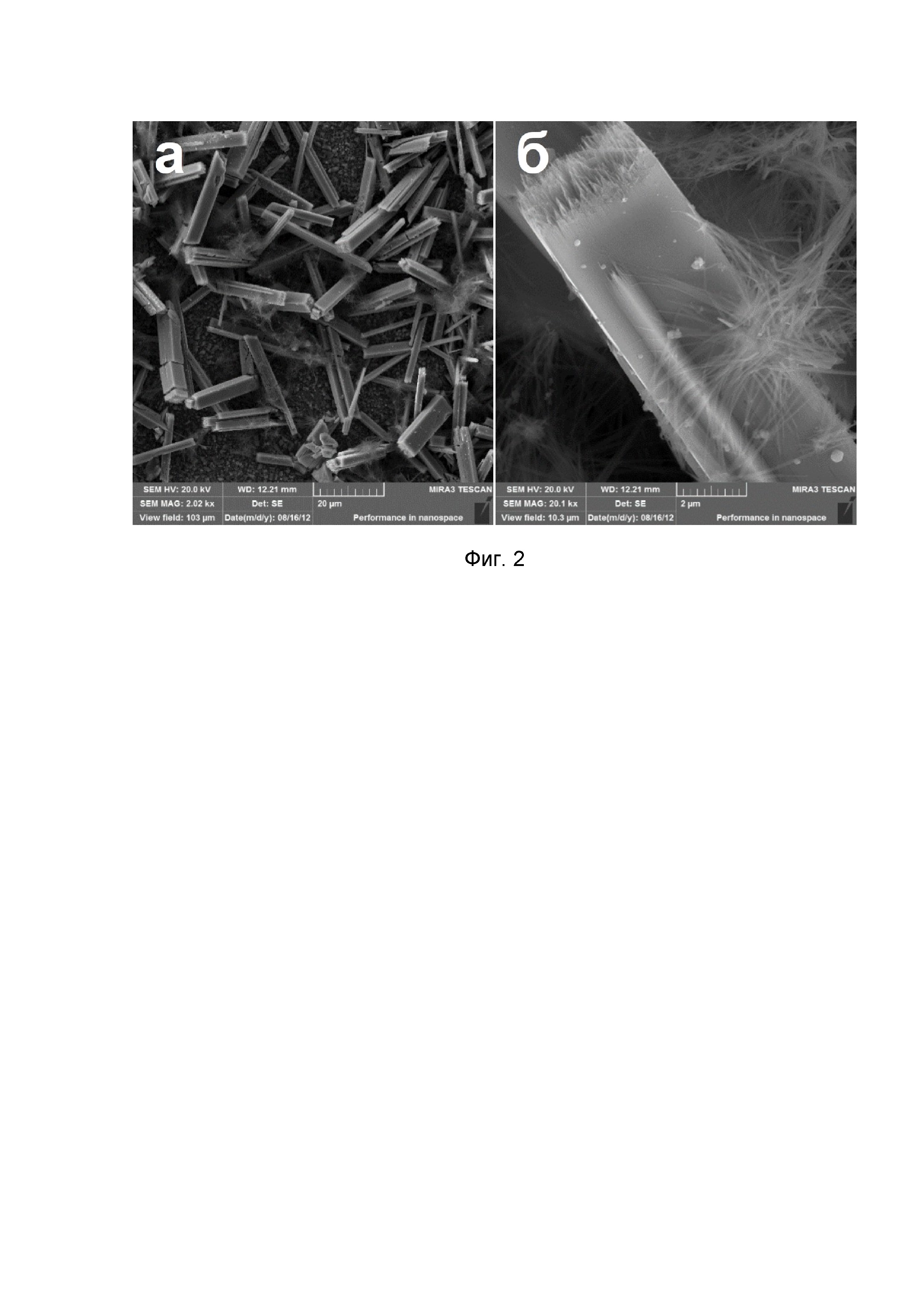 Электрохимический способ формирования кристаллов оксидных вольфрамовых бронз из нановискеров (варианты)