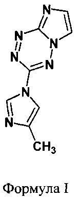 Фармацевтическая композиция на основе 3-(4-Метилимидазол-1-ил)имидазо[1,2-b][1,2,4,5]тетразина в качестве противоопухолевого средства