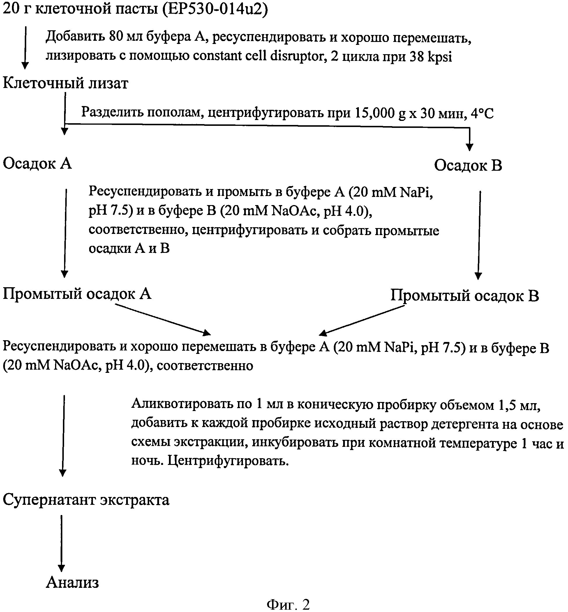 Технологическая схема получения интерферона