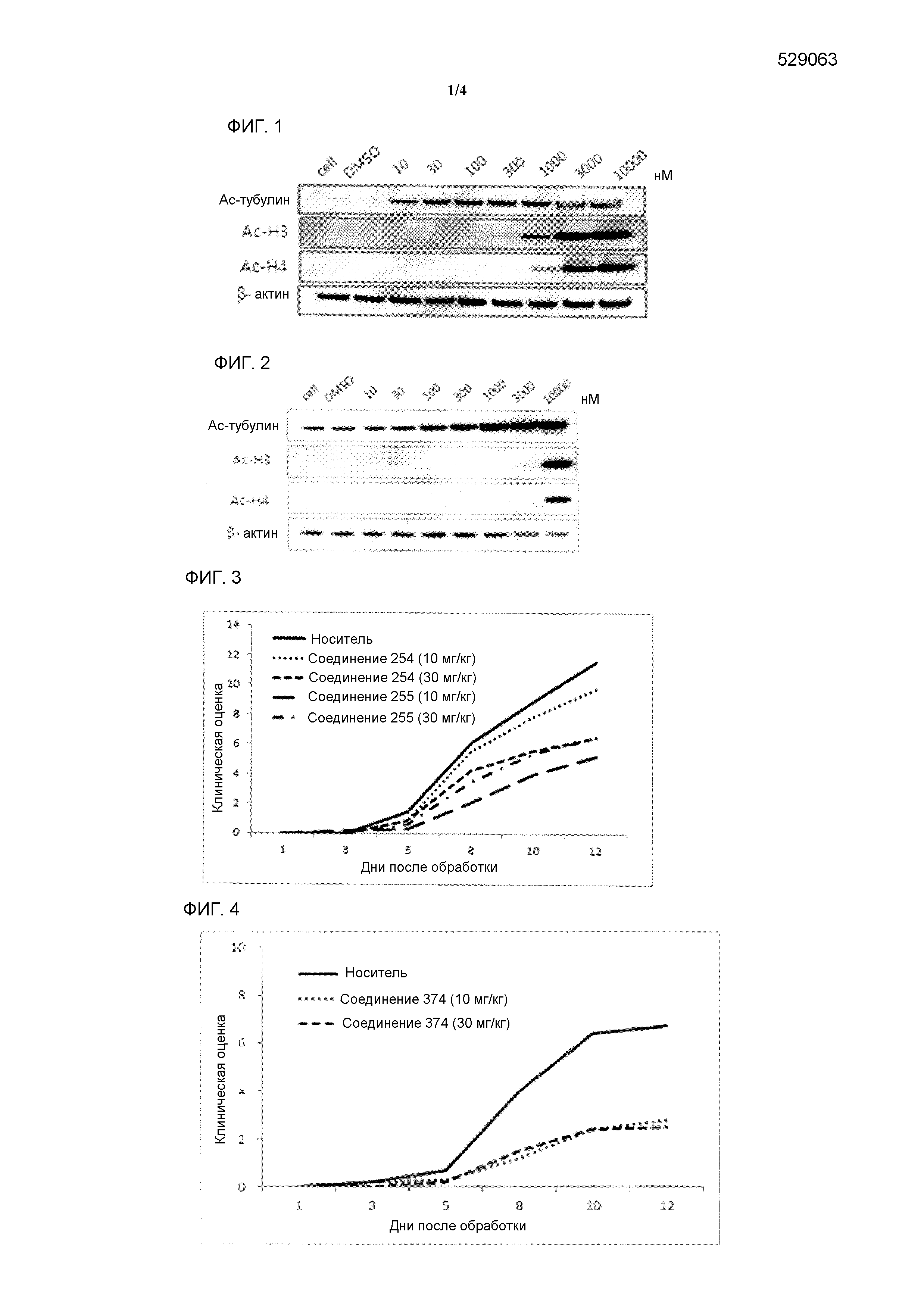 НОВЫЕ СОЕДИНЕНИЯ ДЛЯ СЕЛЕКТИВНЫХ ИНГИБИТОРОВ ГИСТОНДЕАЦЕТИЛАЗЫ И ФАРМАЦЕВТИЧЕСКАЯ КОМПОЗИЦИЯ, ВКЛЮЧАЮЩАЯ ТАКИЕ СОЕДИНЕНИЯ