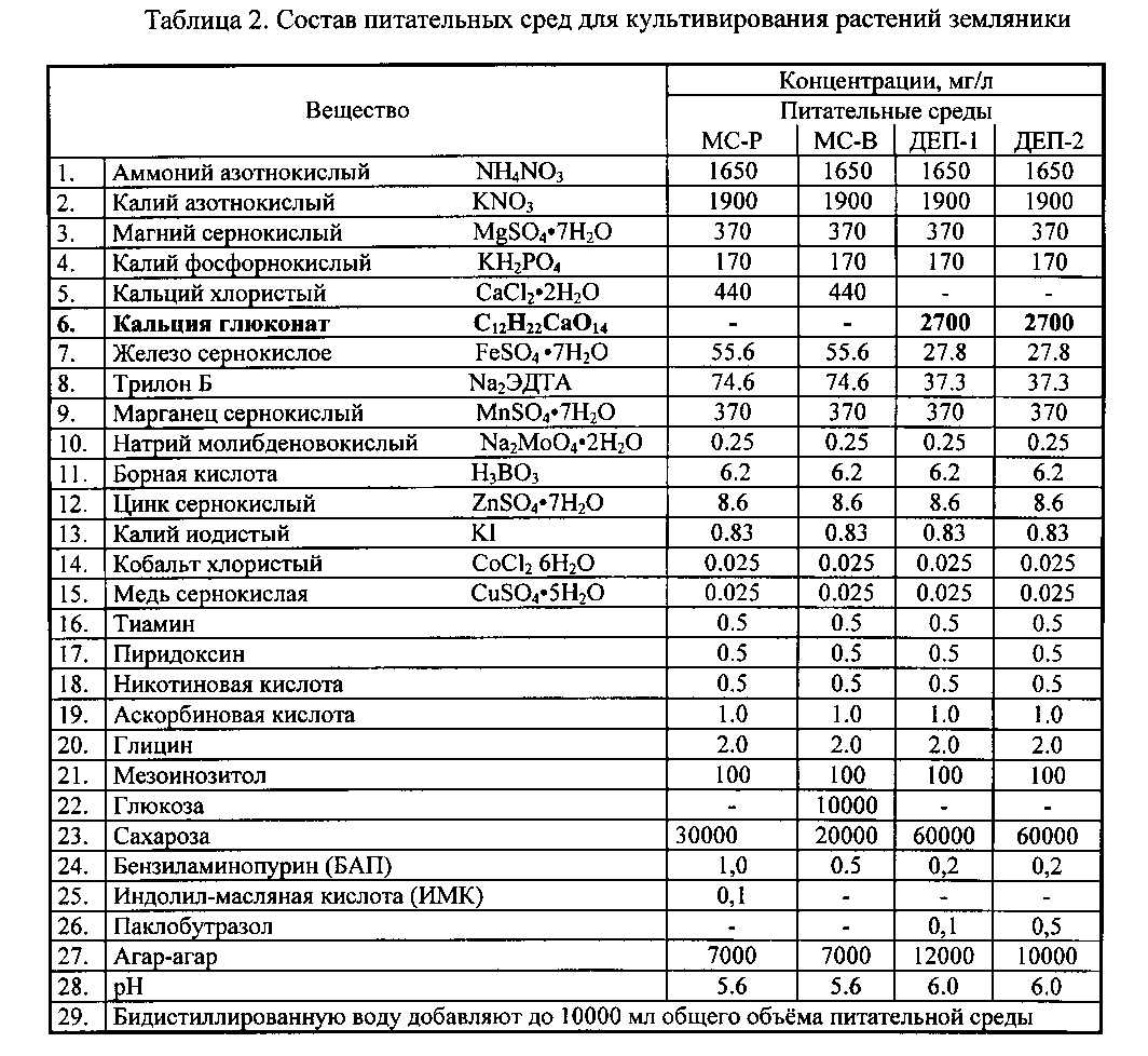 Рн среда питательной среды. Состав питательной среды Мурасиге-Скуга. Состав питательной среды МС. Среда Мурасиге Скуга состав. Питательная среда WPM состав.