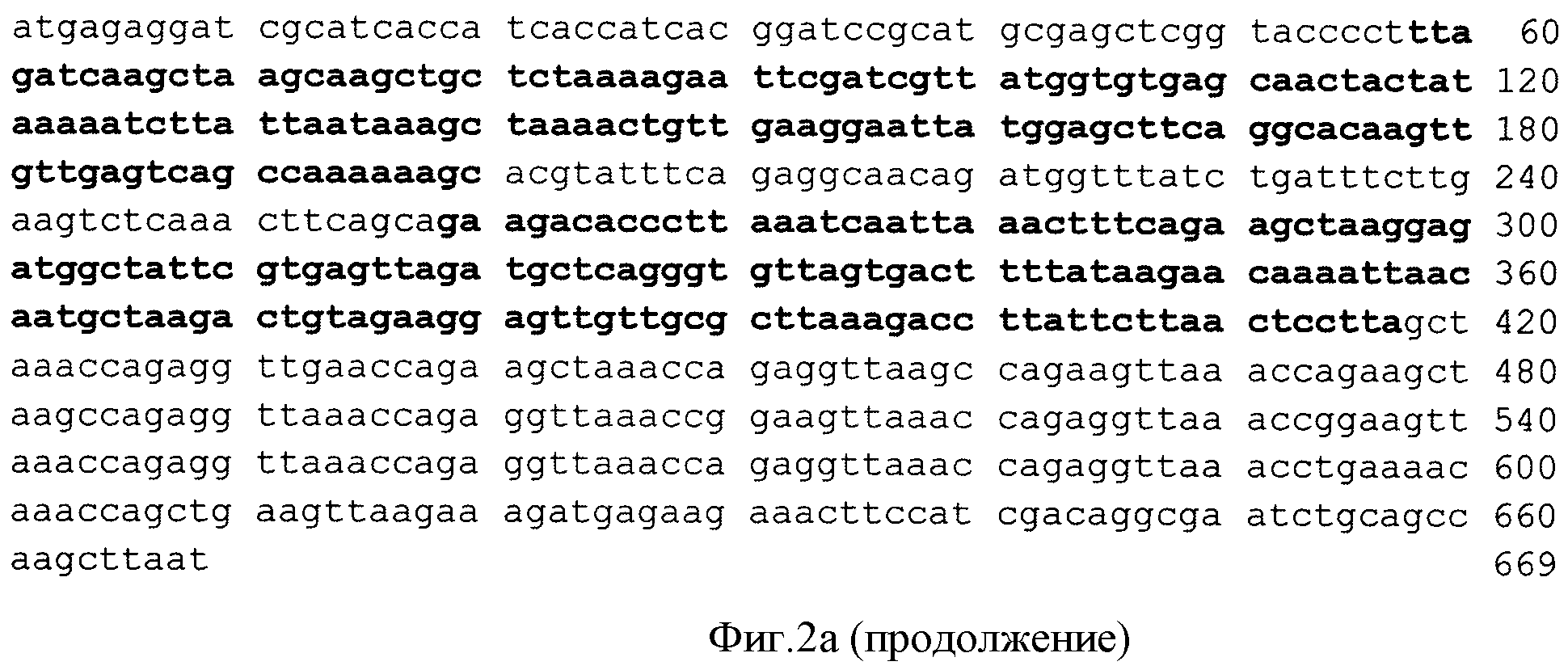РЕКОМБИНАНТНАЯ ДНК pA4, РЕКОМБИНАНТНАЯ ДНК pQE 30-pA4, ОБЕСПЕЧИВАЮЩИЕ ПОЛУЧЕНИЕ ПОЛИПЕПТИДА A4, ШТАММ Esherichia coli M 15-A4, ТРАНСФОРМИРОВАННЫЙ РЕКОМБИНАНТНОЙ ПЛАЗМИДНОЙ ДНК pQE 30-pA4 И ЭКСПРЕССИРУЮЩИЙ РЕКОМБИНАНТНЫЙ ПОЛИПЕПТИД A4, РЕКОМБИНАНТНЫЙ ПОЛИПЕПТИД A4, ОБЛАДАЮЩИЙ СПОСОБНОСТЬЮ СЕЛЕКТИВНО СВЯЗЫВАТЬ ЧСА, АФФИННЫЕ СОРБЕНТЫ (ВАРИАНТЫ) И СПОСОБЫ УДАЛЕНИЯ ЧСА И IgG ИЗ СЫВОРОТКИ КРОВИ (ВАРИАНТЫ)
