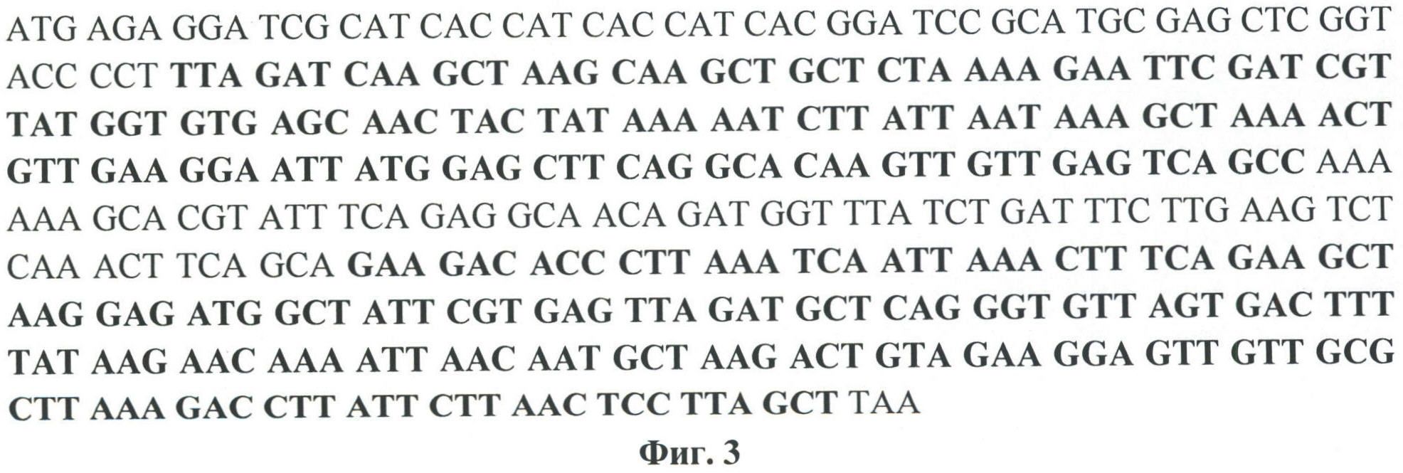 РЕКОМБИНАНТНАЯ ДНК pA3, РЕКОМБИНАНТНАЯ ДНК pQE 30-pA3, ОБЕСПЕЧИВАЮЩИЕ ПОЛУЧЕНИЕ ПОЛИПЕПТИДА A3, ШТАММ E. coli М 15-A3, ТРАНСФОРМИРОВАННЫЙ РЕКОМБИНАНТНОЙ ПЛАЗМИДНОЙ ДНК pQE 30-pA3 И ЭКСПРЕССИРУЮЩИЙ РЕКОМБИНАНТНЫЙ ПОЛИПЕПТИД A3, РЕКОМБИНАНТНЫЙ ПОЛИПЕПТИД A3, ОБЛАДАЮЩИЙ СПОСОБНОСТЬЮ СЕЛЕКТИВНО СВЯЗЫВАТЬ ЧСА, И ТЕСТ-СИСТЕМА РФА ДЛЯ КАЧЕСТВЕННОГО ВЫЯВЛЕНИЯ МИКРОАЛЬБУМИНУРИИ, ТЕСТ-СИСТЕМА ДЛЯ КОЛИЧЕСТВЕННОГО ОПРЕДЕЛЕНИЯ МИКРОАЛЬБУМИНУРИИ