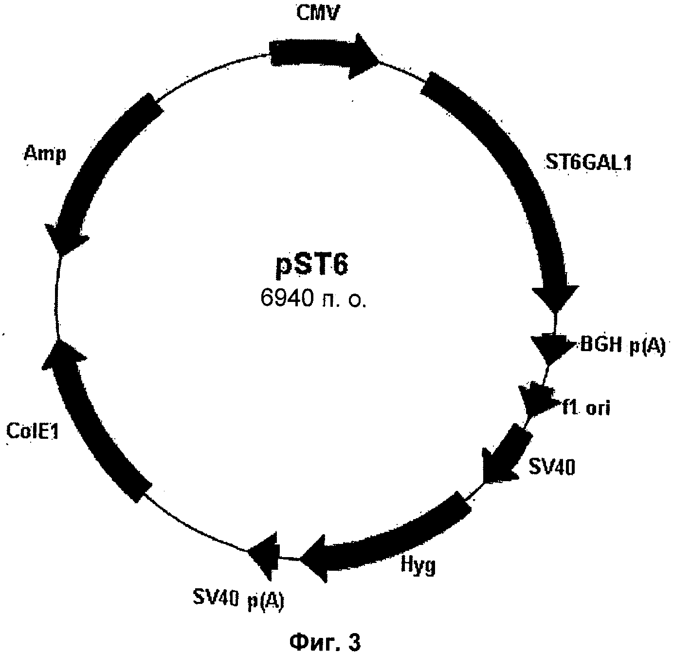 Второй альфа. Рекомбинантный ФСГ. Sec2 Альфа.