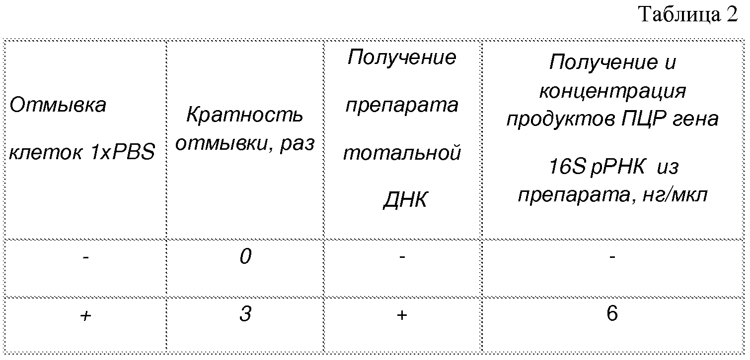 СПОСОБ ПОДГОТОВКИ КУЛЬТУР СУЛЬФИДОГЕННЫХ БАКТЕРИЙ ДЛЯ ВЫДЕЛЕНИЯ ДНК