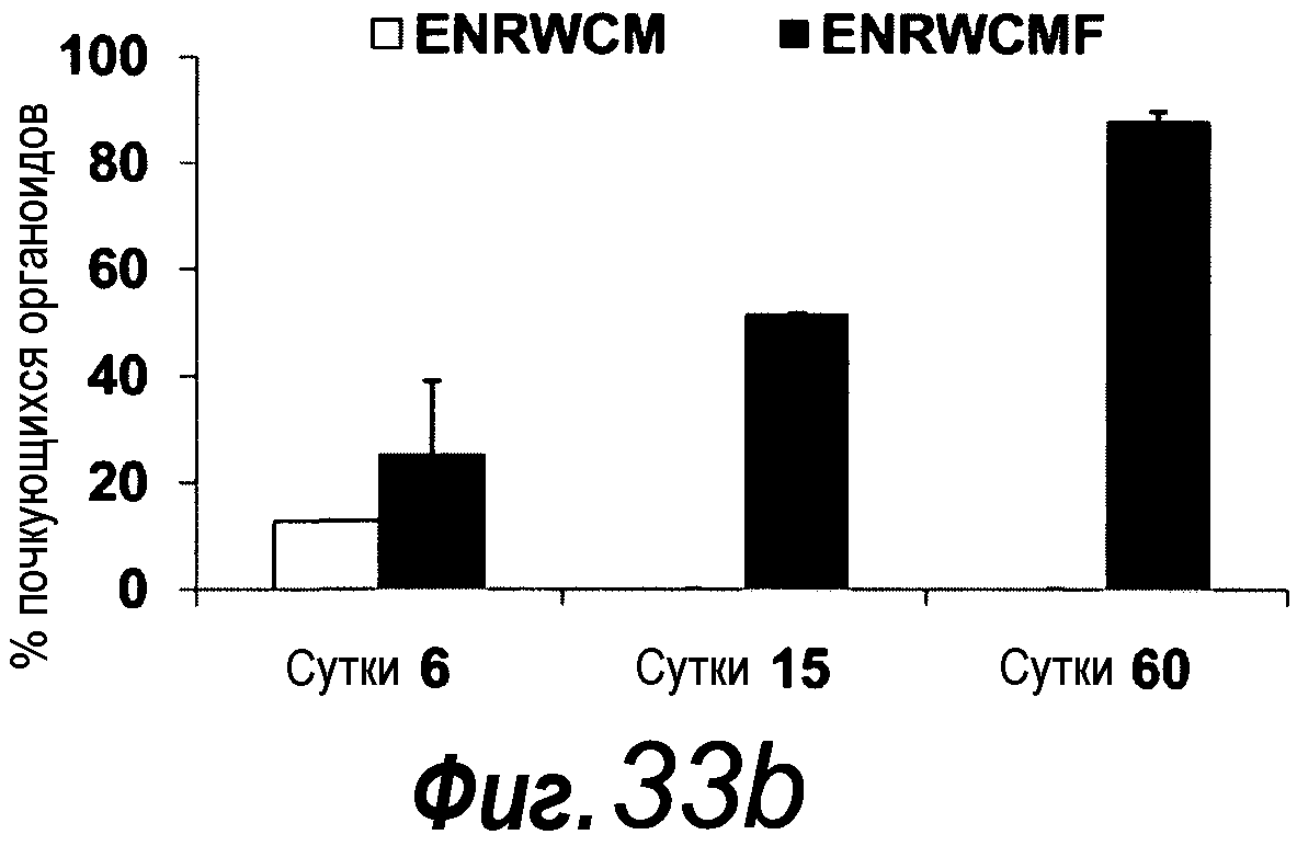 КУЛЬТУРАЛЬНАЯ СРЕДА ДЛЯ ЭПИТЕЛИАЛЬНЫХ СТВОЛОВЫХ КЛЕТОК И ОРГАНОИДОВ, СОДЕРЖАЩИХ УКАЗАННЫЕ СТВОЛОВЫЕ КЛЕТКИ