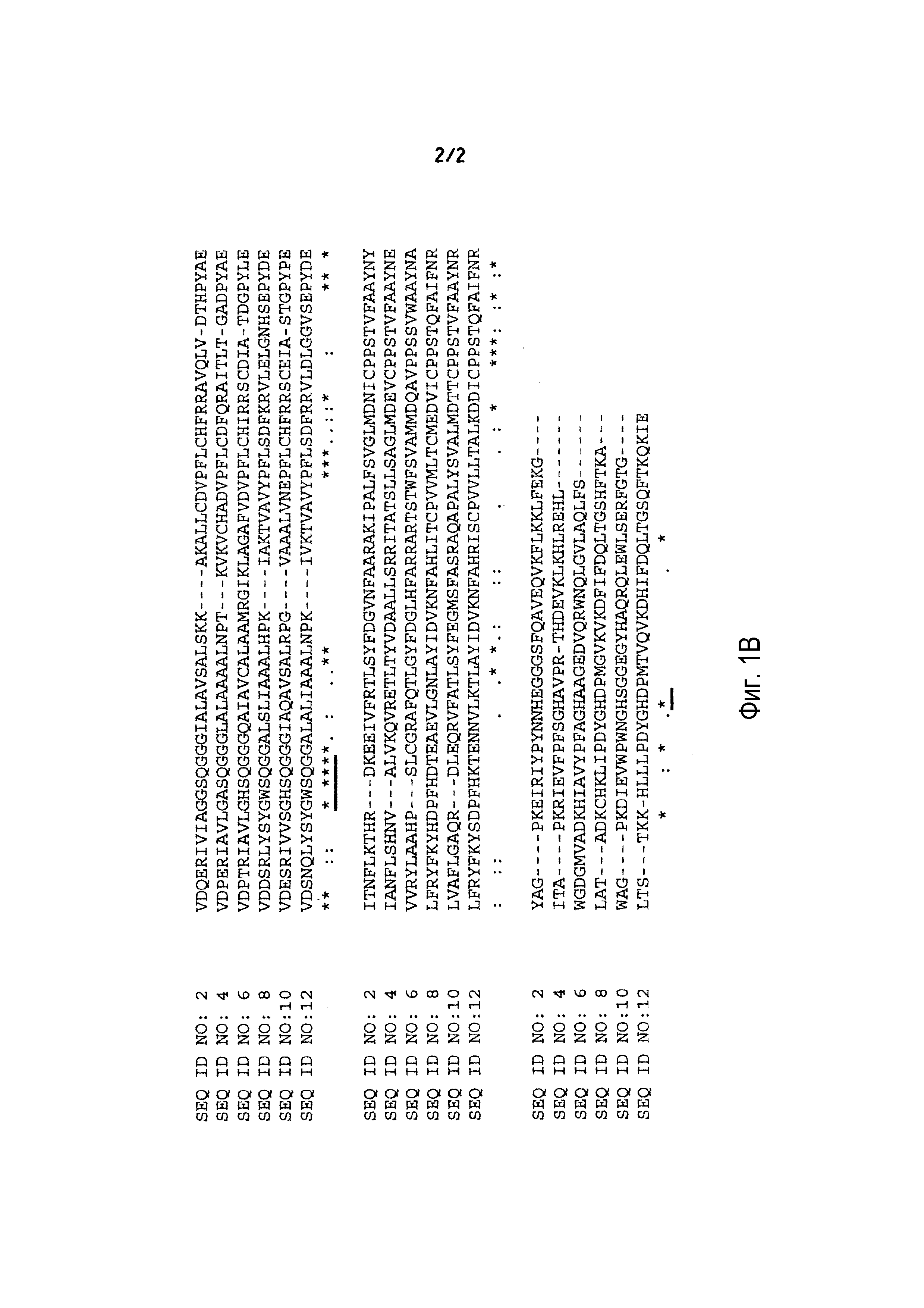 ФЕРМЕНТЫ, ПРИГОДНЫЕ ДЛЯ ПОЛУЧЕНИЯ ПЕРКИСЛОТ