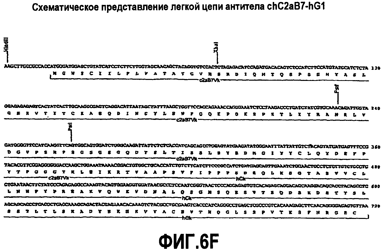 АНТИТЕЛА К ОХ-2/СD200 И ИХ ПРИМЕНЕНИЕ
