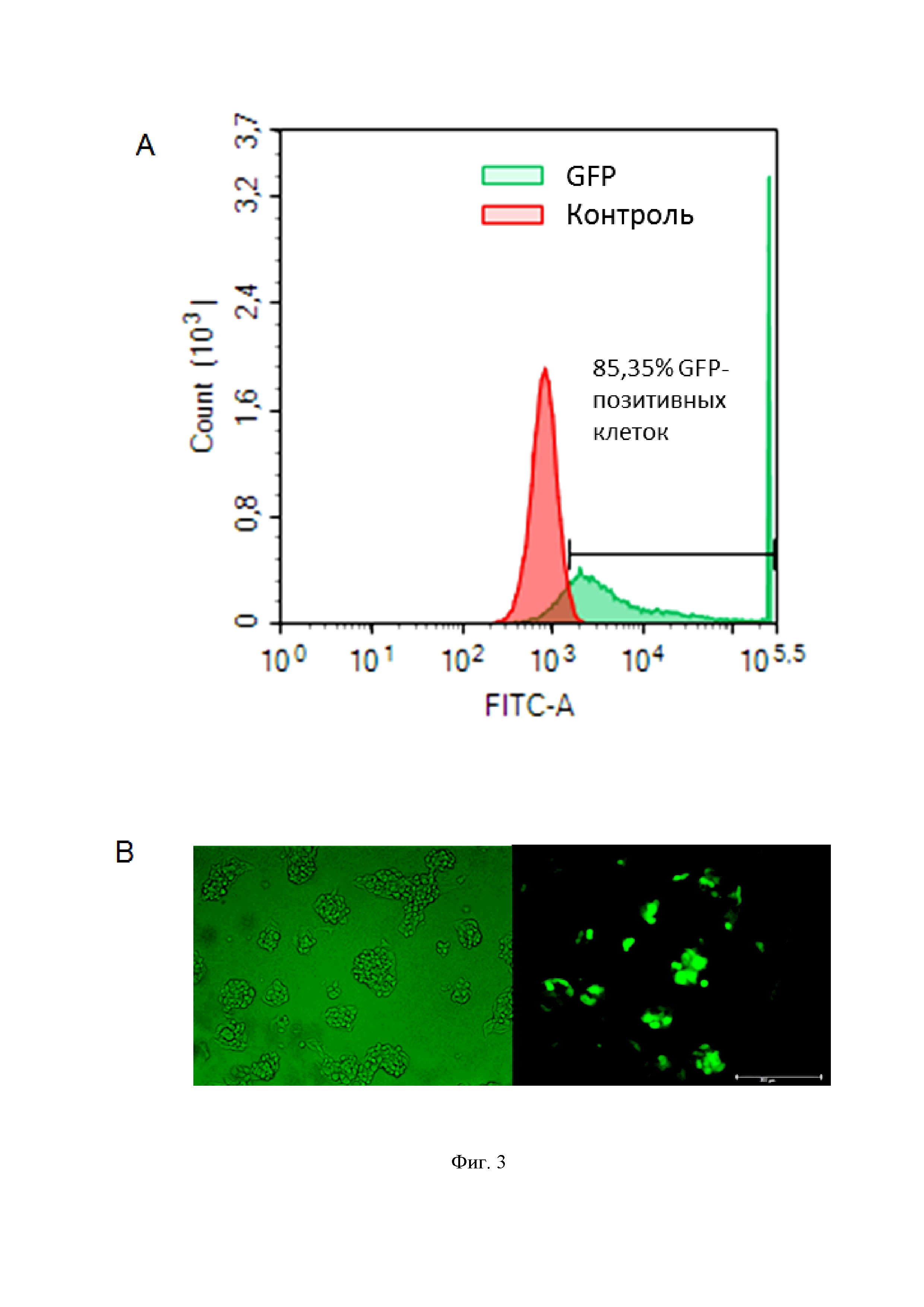 РНК-проводники для подавления репликации вируса гепатита B и для элиминации вируса гепатита B из клетки-хозяина