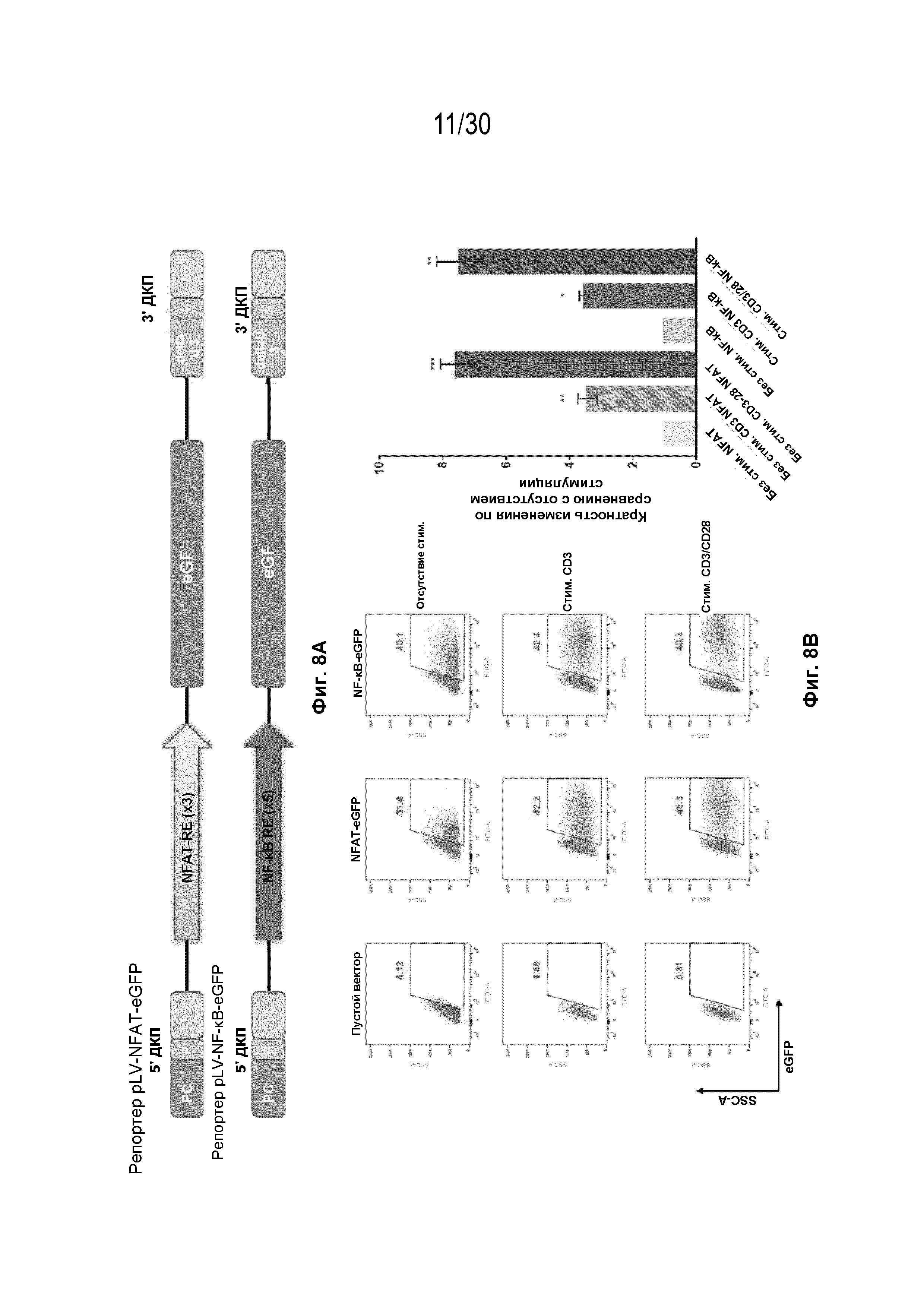 УЛУЧШЕННЫЕ ИММУННЫЕ КЛЕТКИ С ДВОЙНОЙ кшРНК И КОМПОЗИЦИИ, СОДЕРЖАЩИЕ ИХ