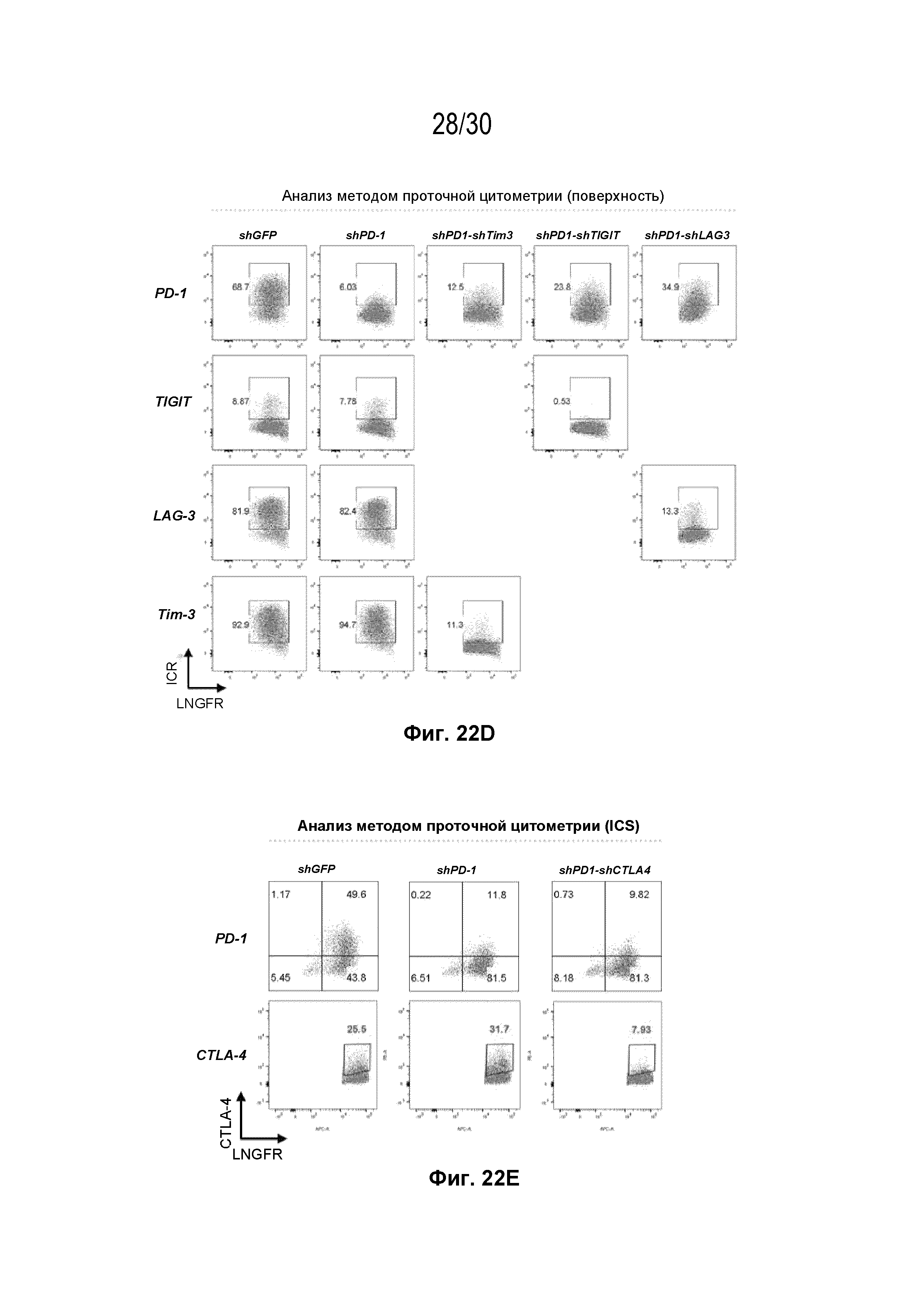 УЛУЧШЕННЫЕ ИММУННЫЕ КЛЕТКИ С ДВОЙНОЙ кшРНК И КОМПОЗИЦИИ, СОДЕРЖАЩИЕ ИХ