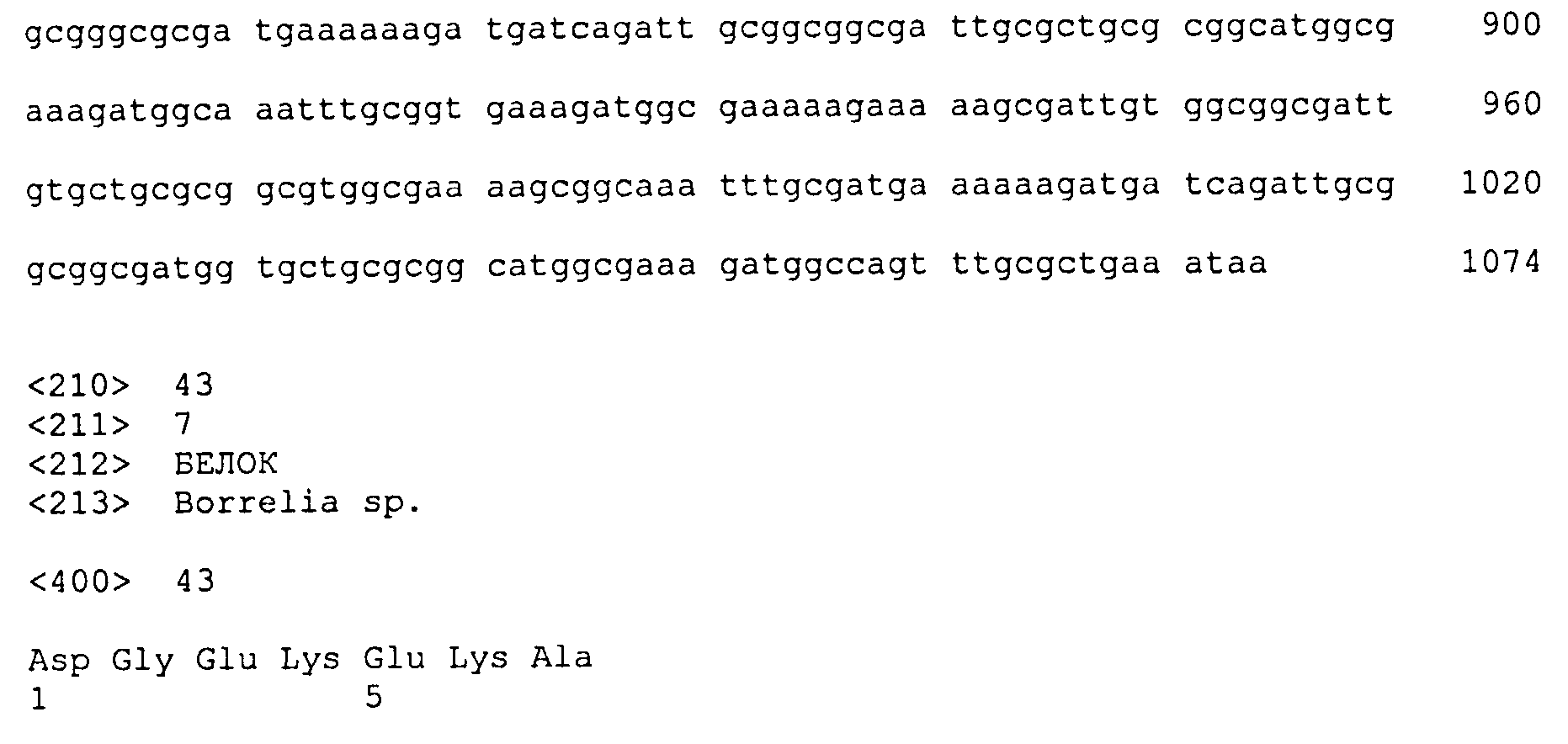 ХИМЕРНЫЙ БЕЛОК БОРРЕЛИИ, НУКЛЕИНОВАЯ КИСЛОТА, КОДИРУЮЩАЯ ТАКОЙ БЕЛОК, ЭКСПРЕССИРУЮЩАЯ КАССЕТА, ВЕКТОР, СПОСОБ И НАБОР ДЛЯ ДИАГНОСТИКИ ЛАЙМ-БОРРЕЛИОЗА, ВАКЦИНА ДЛЯ ПРОФИЛАКТИКИ БОРРЕЛИОЗА