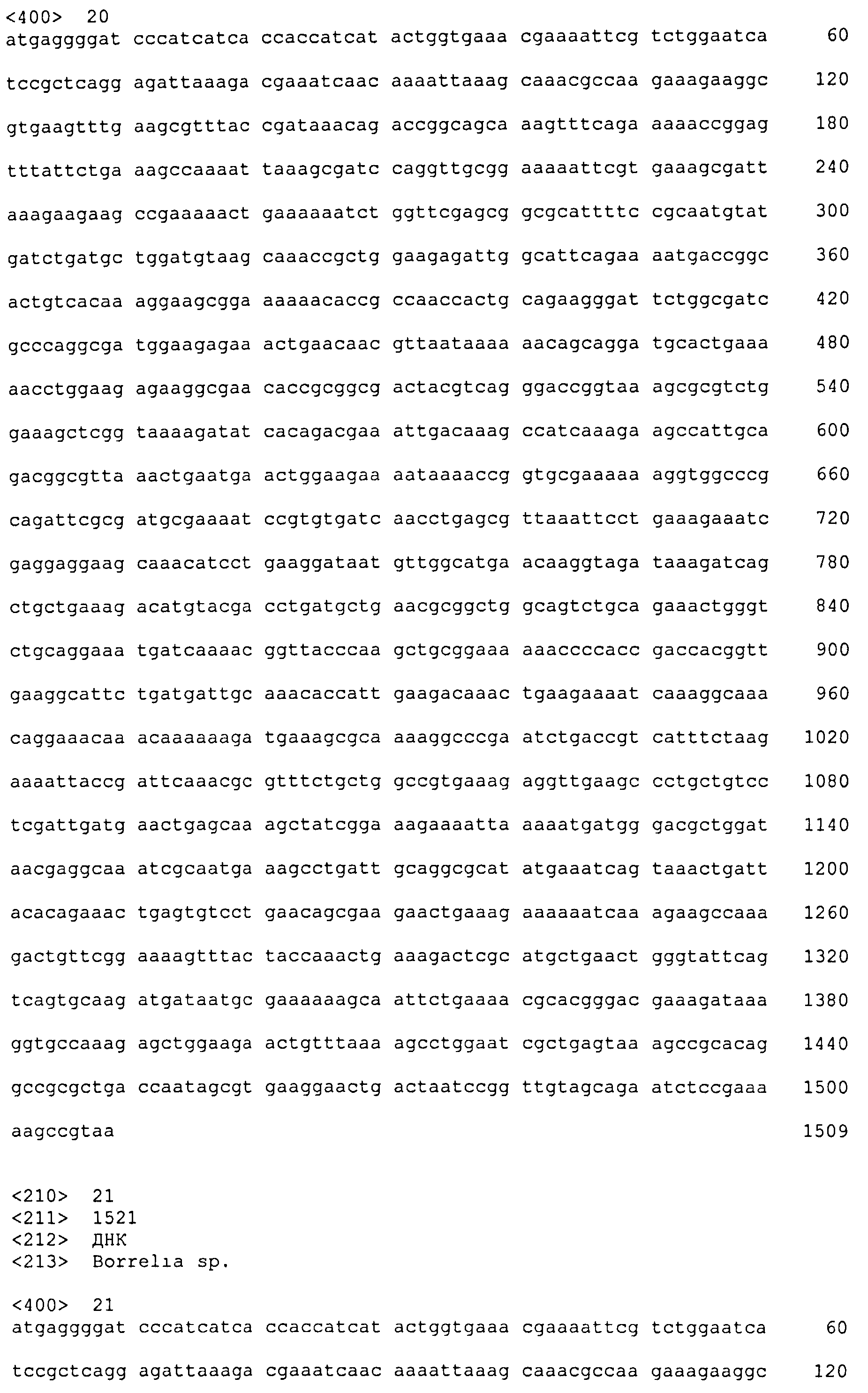 ХИМЕРНЫЙ БЕЛОК БОРРЕЛИИ, НУКЛЕИНОВАЯ КИСЛОТА, КОДИРУЮЩАЯ ТАКОЙ БЕЛОК, ЭКСПРЕССИРУЮЩАЯ КАССЕТА, ВЕКТОР, СПОСОБ И НАБОР ДЛЯ ДИАГНОСТИКИ ЛАЙМ-БОРРЕЛИОЗА, ВАКЦИНА ДЛЯ ПРОФИЛАКТИКИ БОРРЕЛИОЗА