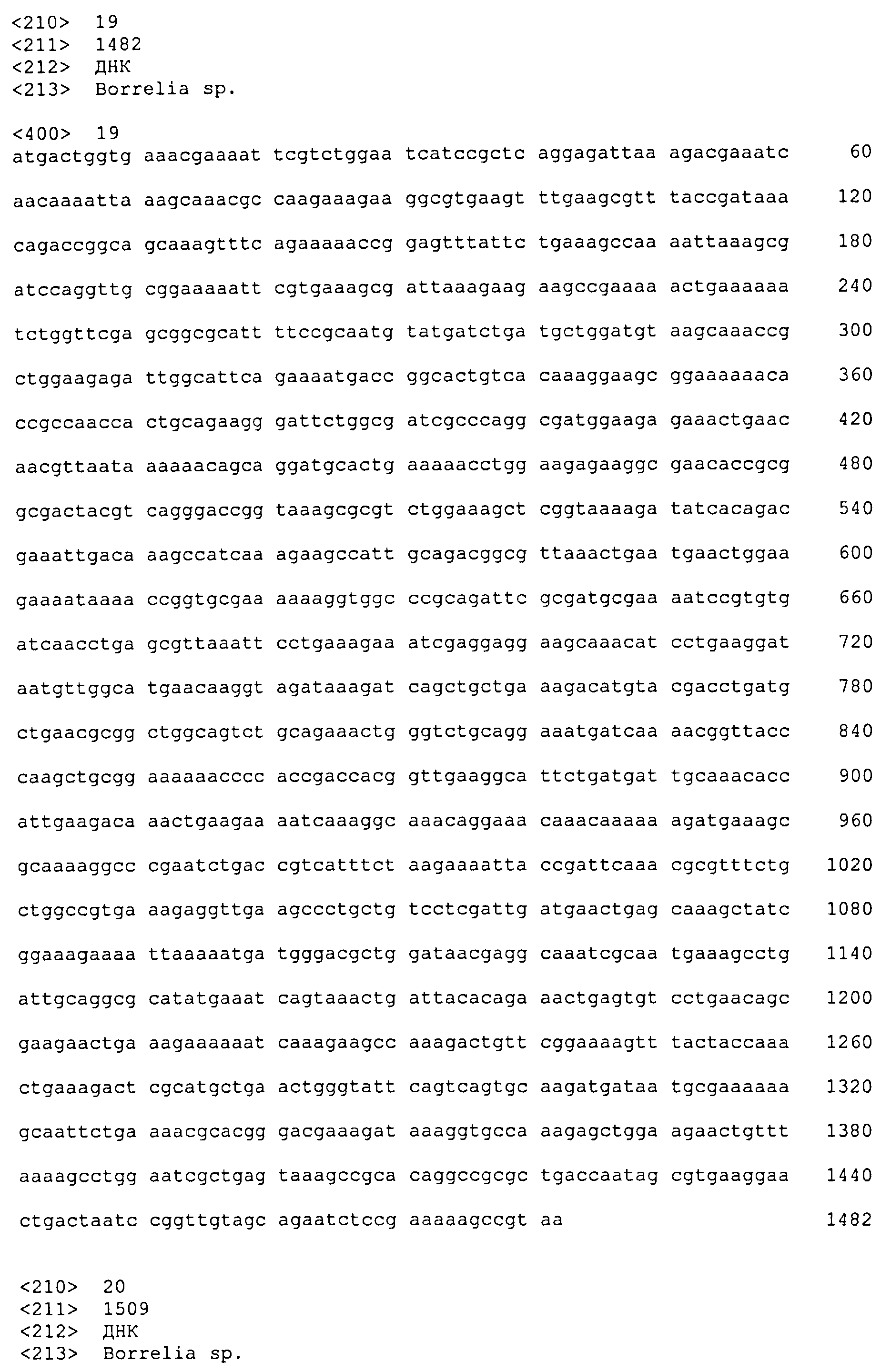 ХИМЕРНЫЙ БЕЛОК БОРРЕЛИИ, НУКЛЕИНОВАЯ КИСЛОТА, КОДИРУЮЩАЯ ТАКОЙ БЕЛОК, ЭКСПРЕССИРУЮЩАЯ КАССЕТА, ВЕКТОР, СПОСОБ И НАБОР ДЛЯ ДИАГНОСТИКИ ЛАЙМ-БОРРЕЛИОЗА, ВАКЦИНА ДЛЯ ПРОФИЛАКТИКИ БОРРЕЛИОЗА