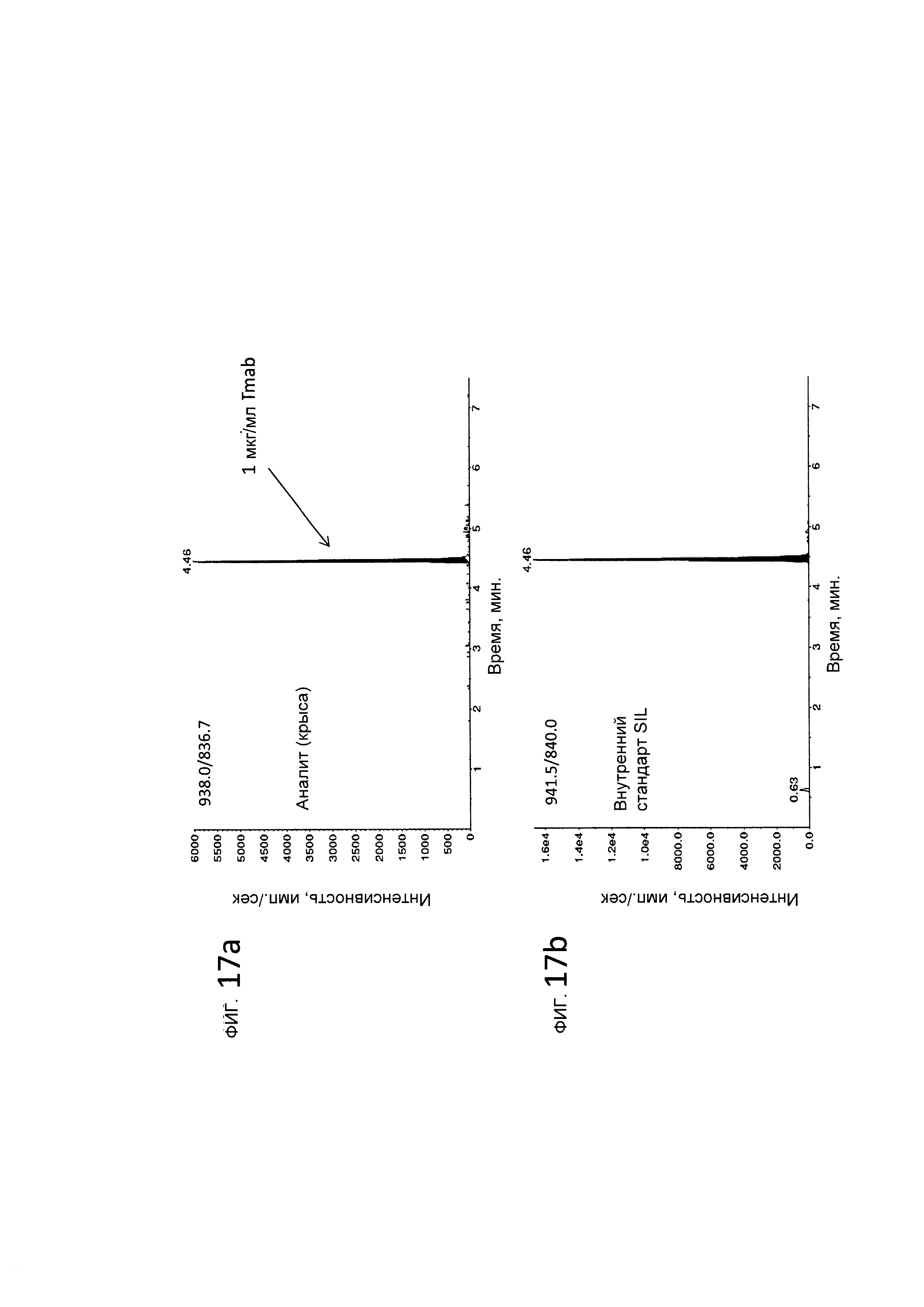 LC-MS/MS СПОСОБ МОНИТОРИНГА МНОЖЕСТВЕННЫХ РЕАКЦИЙ ДЛЯ ВЫЯВЛЕНИЯ ТЕРАПЕВТИЧЕСКИХ АНТИТЕЛ В ОБРАЗЦАХ ЖИВОТНЫХ С ПОМОЩЬЮ КАРКАСНЫХ СИГНАТУРНЫХ ПЕПТИДОВ