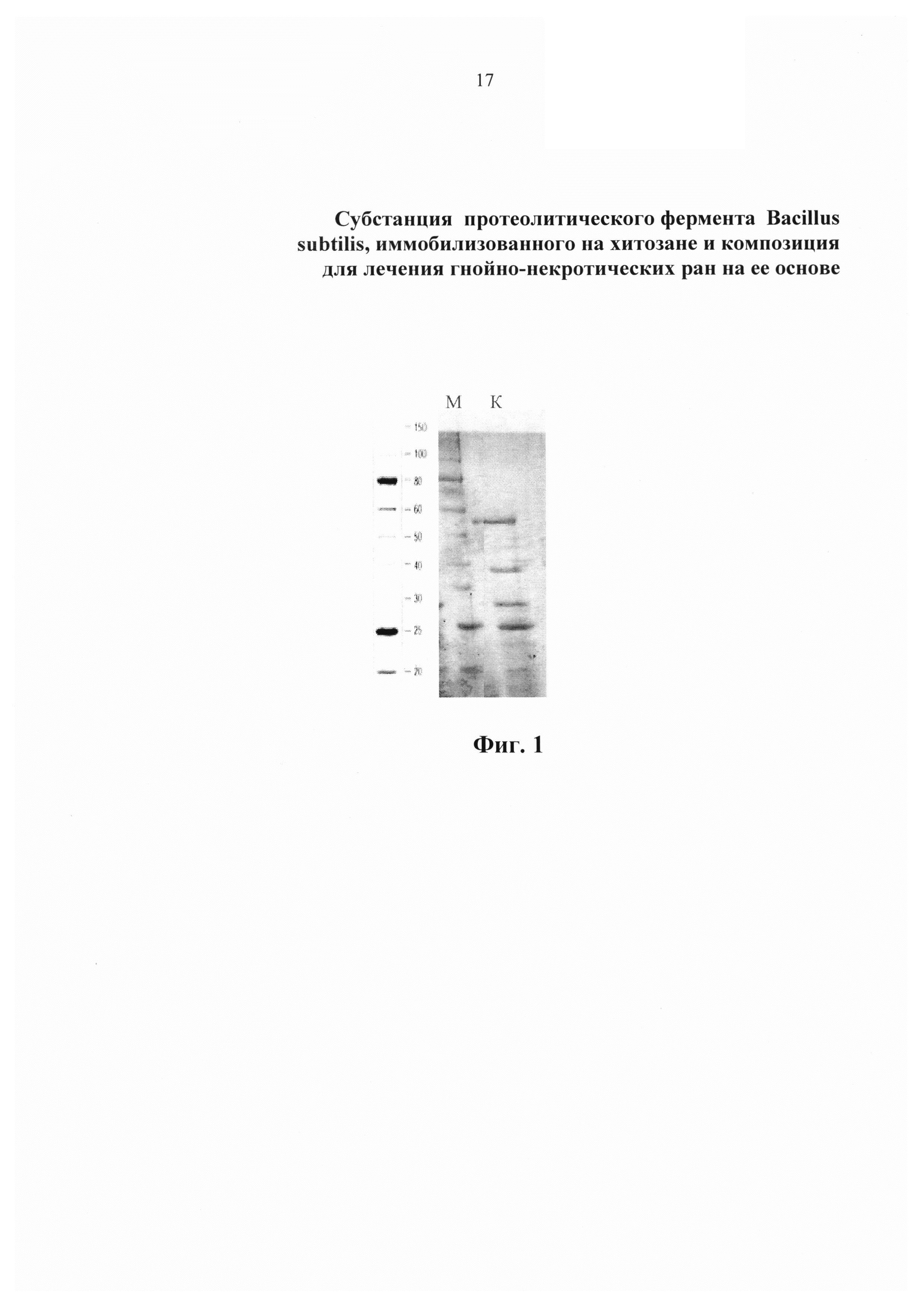 Субстанция протеолитического фермента на основе Протосубтилина ГЗХ, иммобилизованного на хитозане, и композиция для лечения гнойно-некротических ран