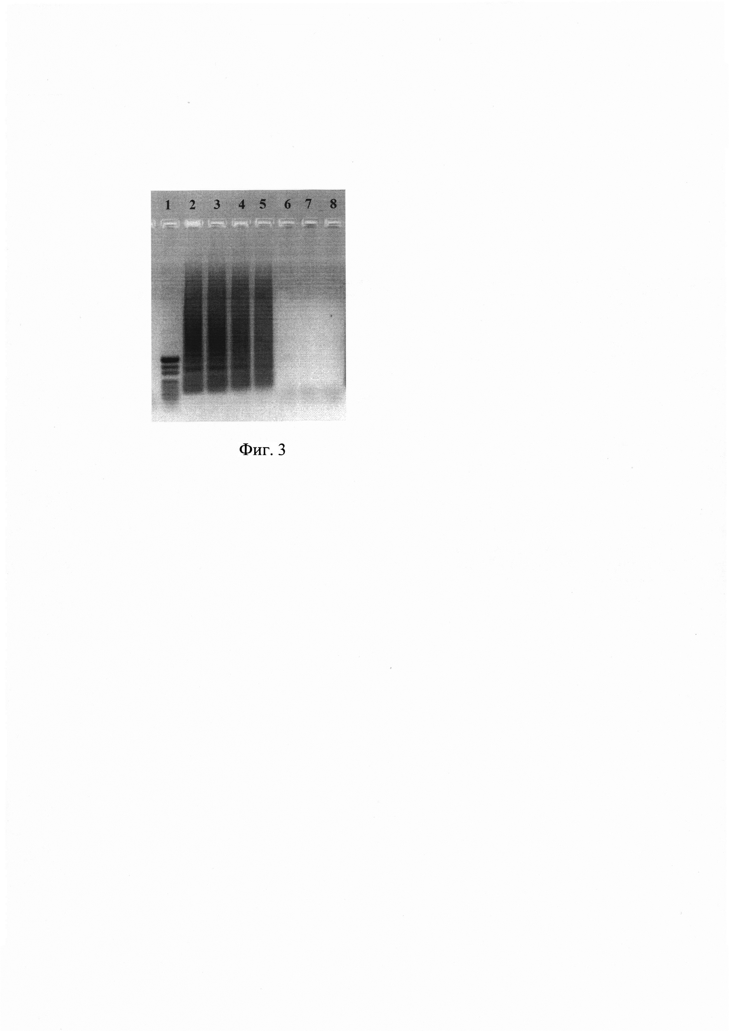 Набор олигонуклеотидных праймеров Ft 182 и способ определения бактерий Francisella tularensis (Варианты)