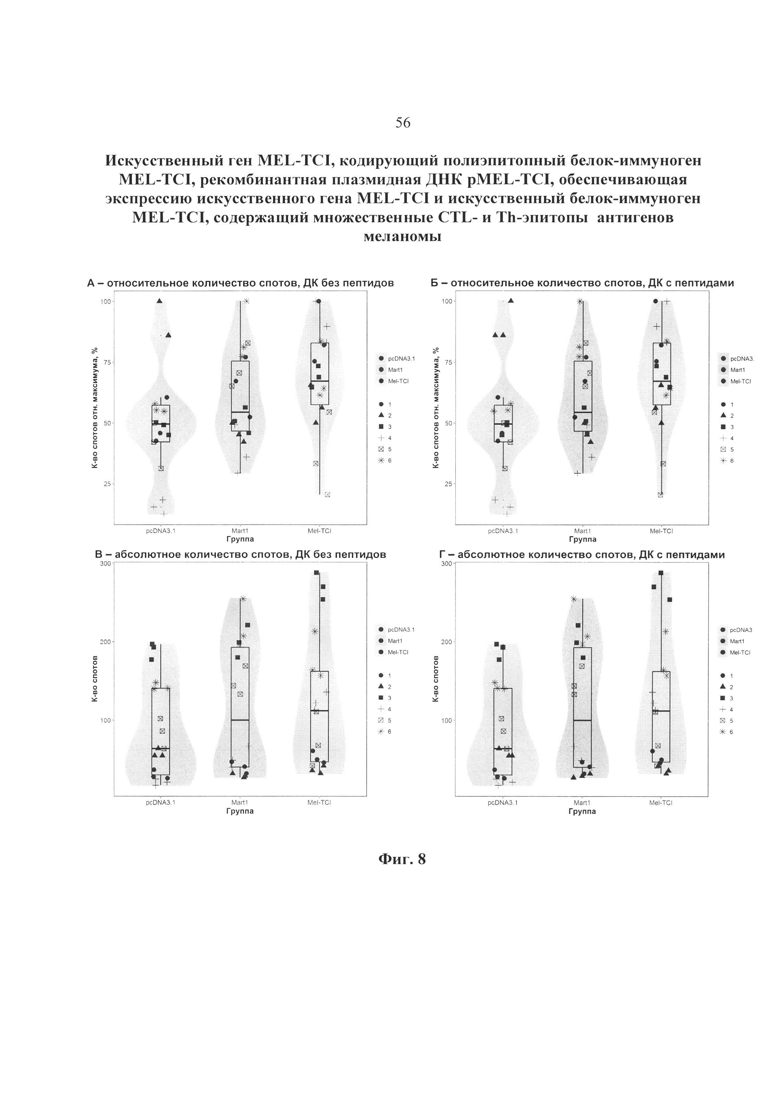 Искусственный ген MEL-TCI, кодирующий полиэпитопный белок-иммуноген MEL-TCI, рекомбинантная плазмидная ДНК pMEL-TCI, обеспечивающая экспрессию искусственного гена MEL-TCI и искусственный белок-иммуноген MEL-TCI, содержащий CTL- и Th-эпитопы антигенов меланомы, рестриктированные множественными аллелями HLA I и II класса