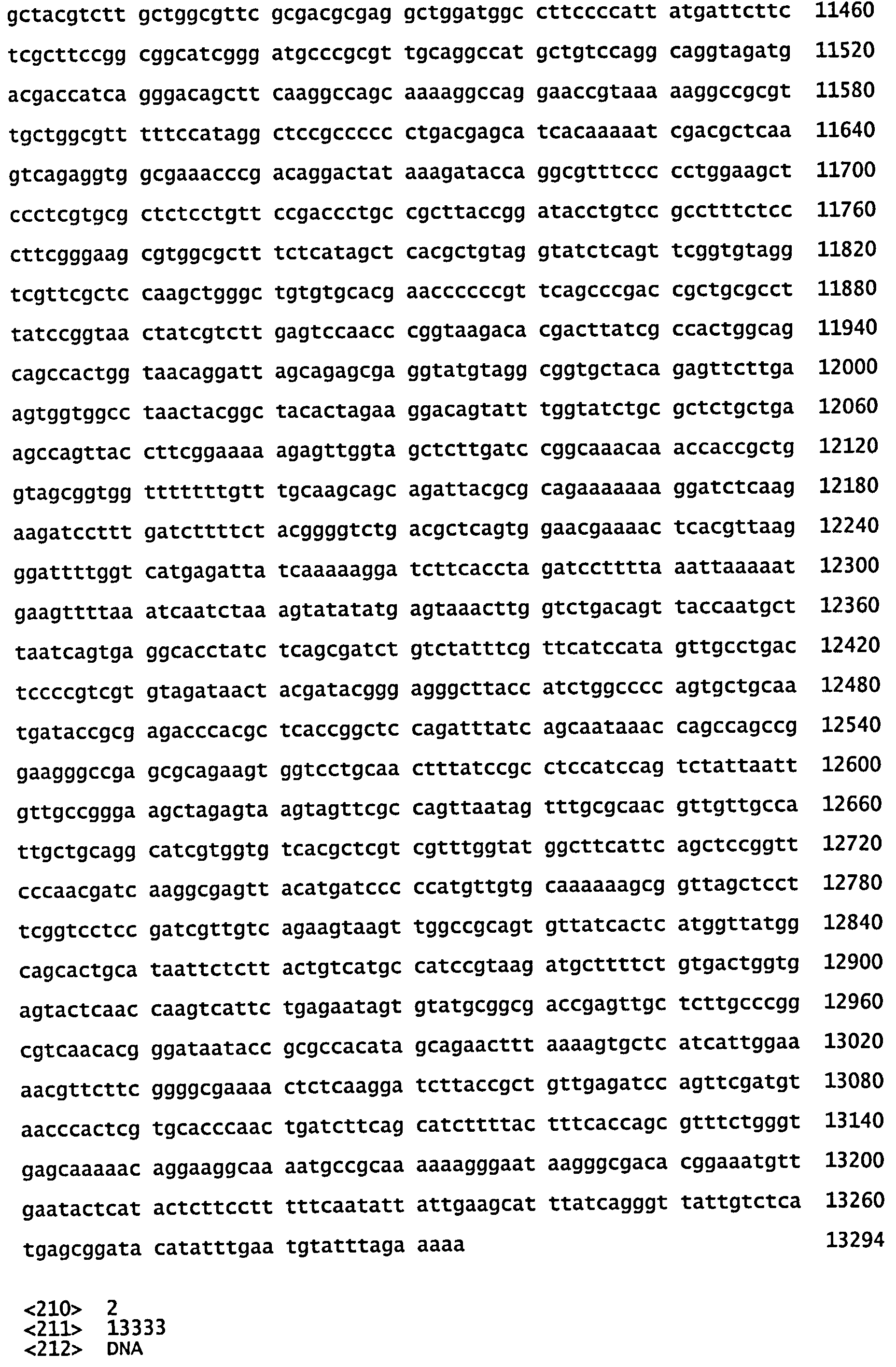 СКОНСТРУИРОВАННЫЕ КЛЕТКИ, ЭКСПРЕССИРУЮЩИЕ МНОЖЕСТВЕННЫЕ ИММУНОМОДУЛЯТОРЫ, И ИХ ПРИМЕНЕНИЯ