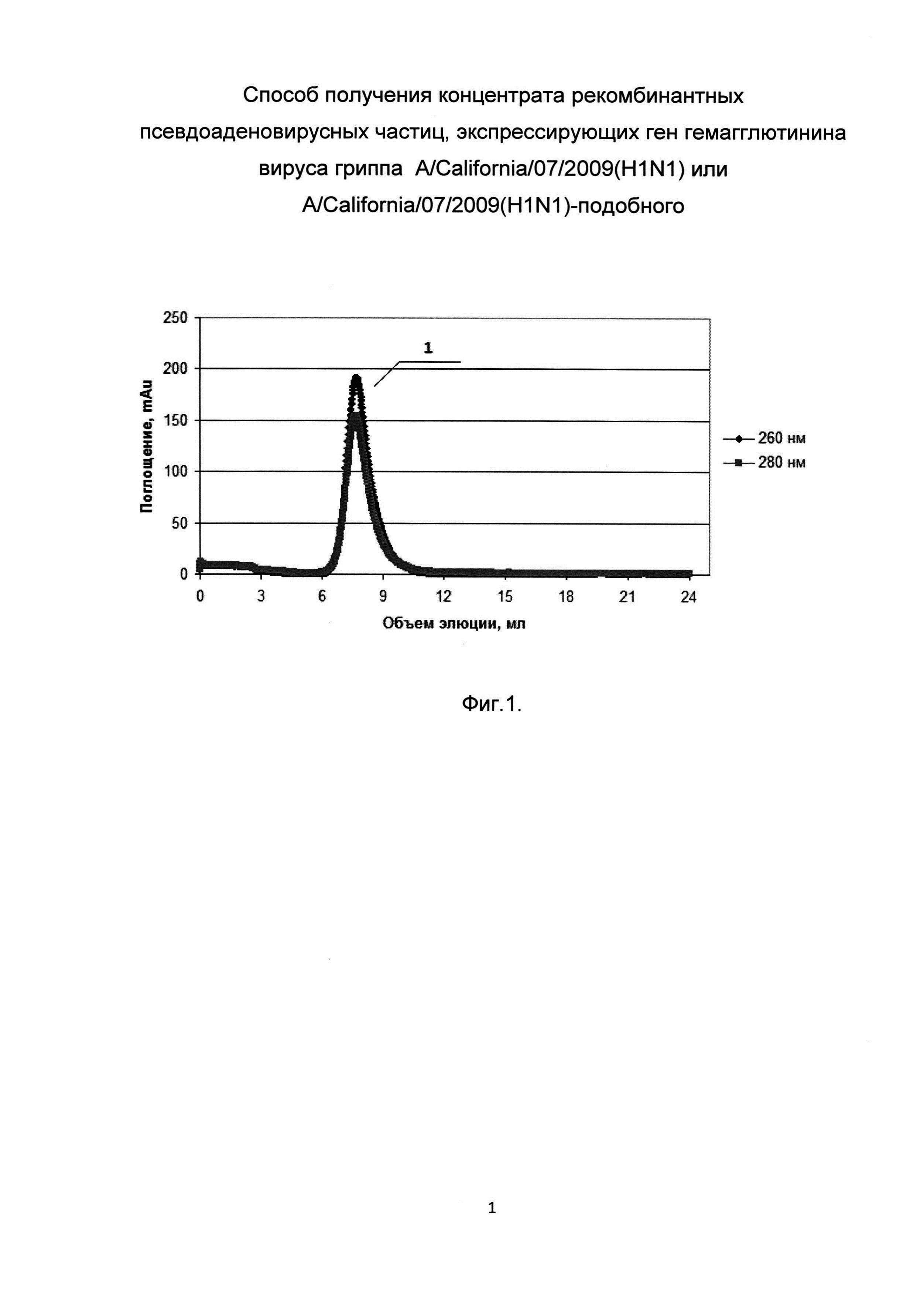 Способ получения концентрата рекомбинантных псевдоаденовирусных частиц, экспрессирующих ген гемагглютинина вируса гриппа A/California/07/2009(H1N1)